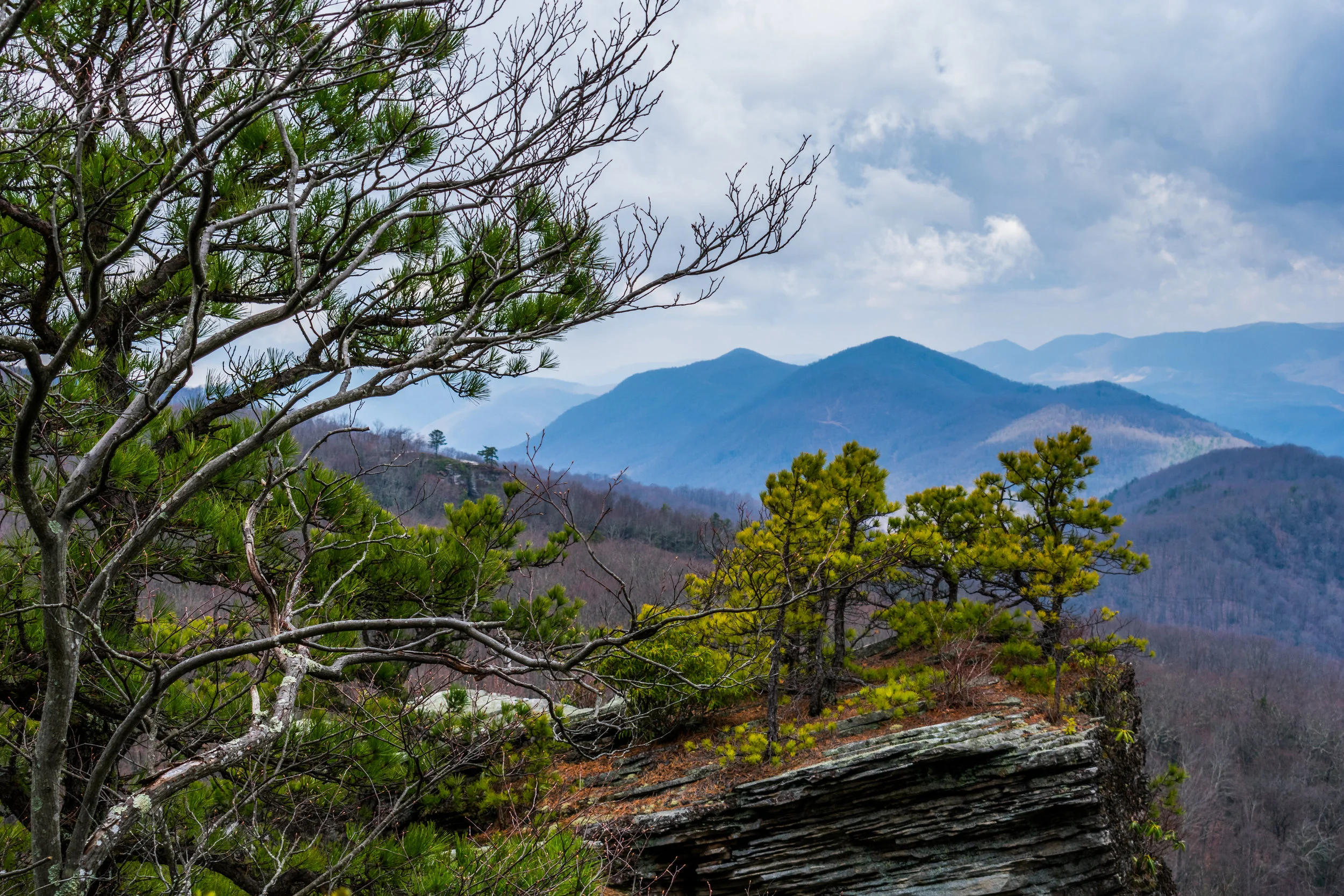 High Knob Piano Rock outcrop.jpg