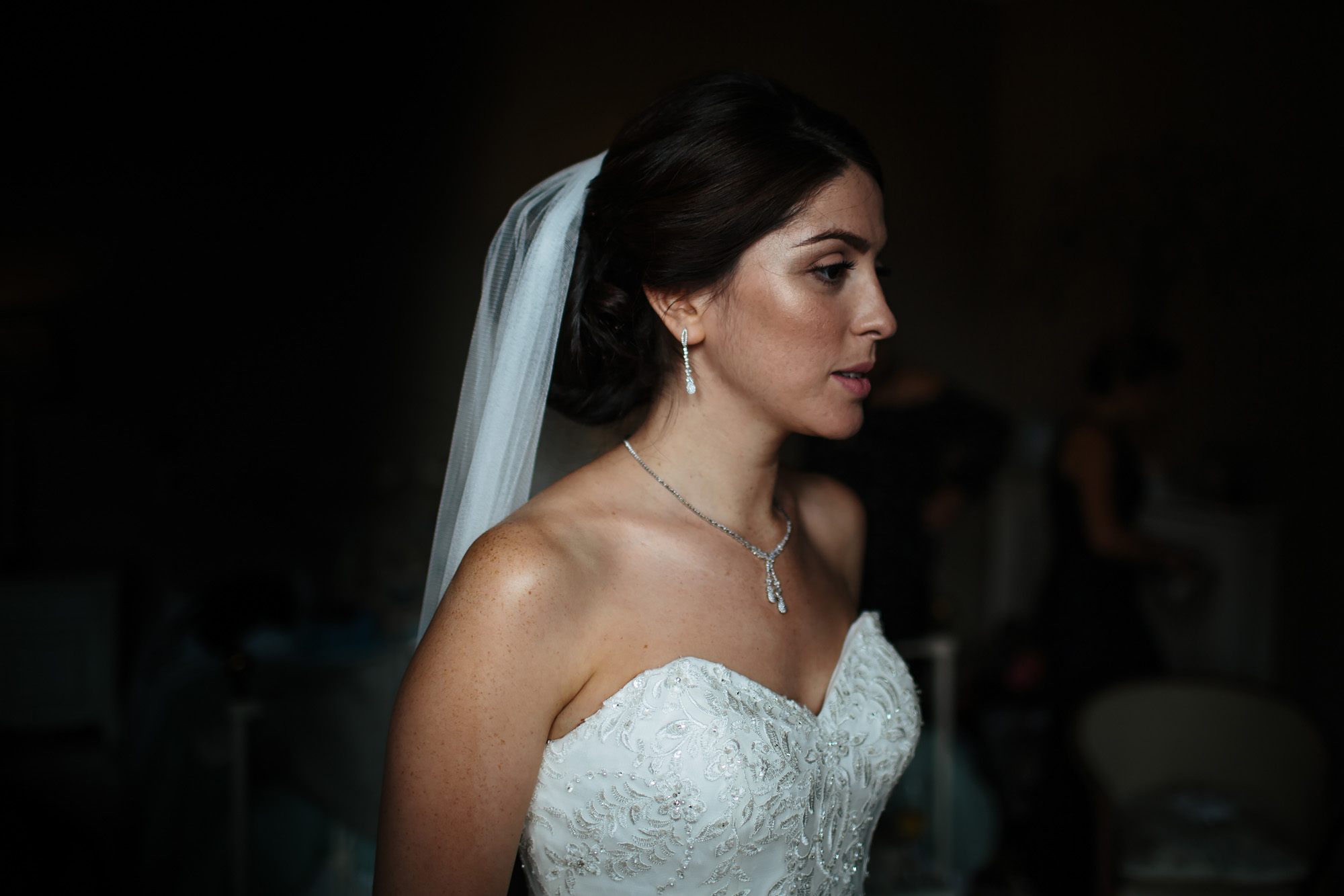 Bride portrait in natural window light