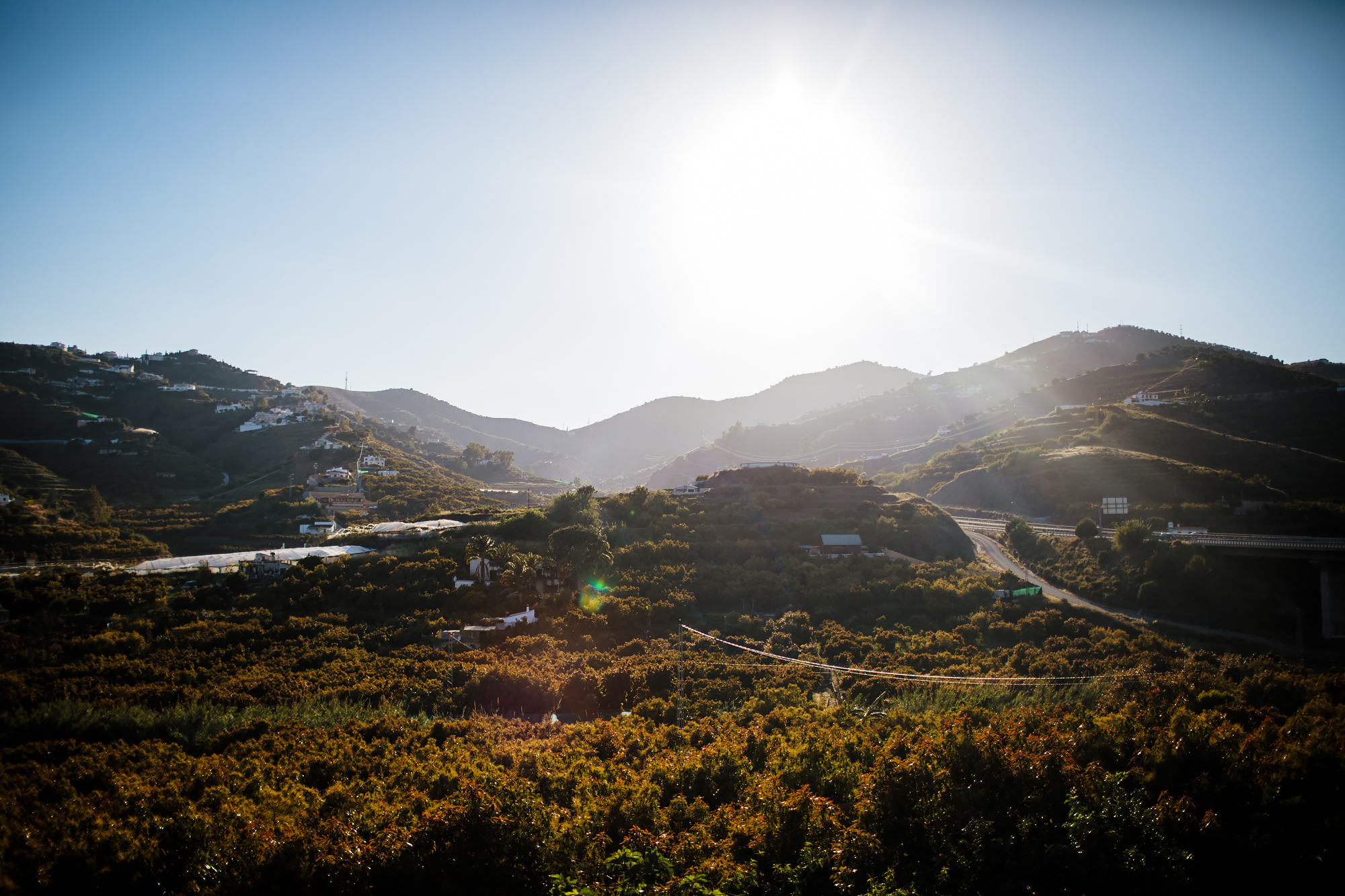 Landscape at Cortijo Maria Luisa Nerja Spain