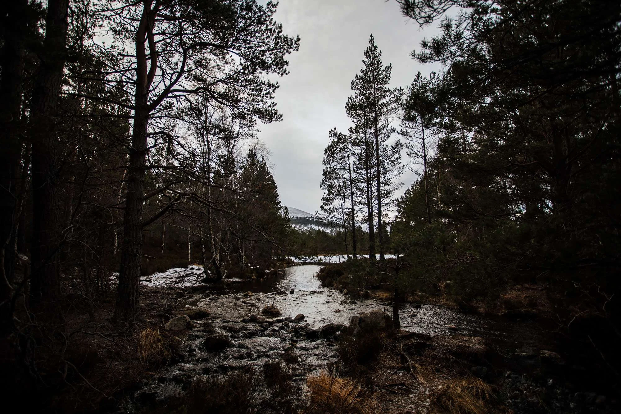 Scotland-26.jpg