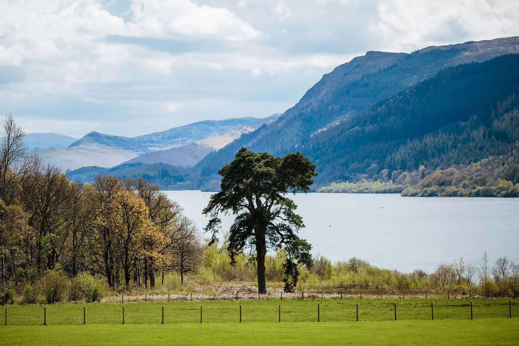 Lake Bassenthwaite in the sunshine wedding
