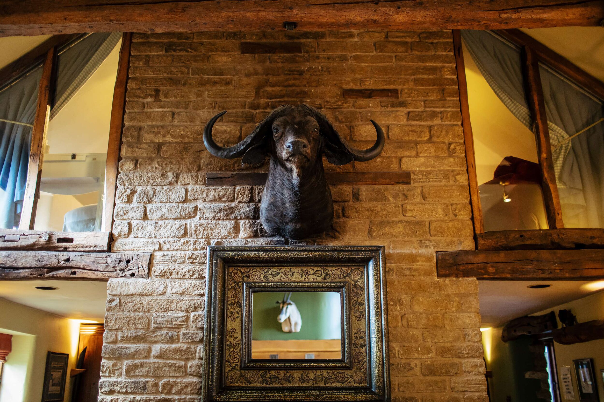 Mounted buffalo at The Star Inn Harome
