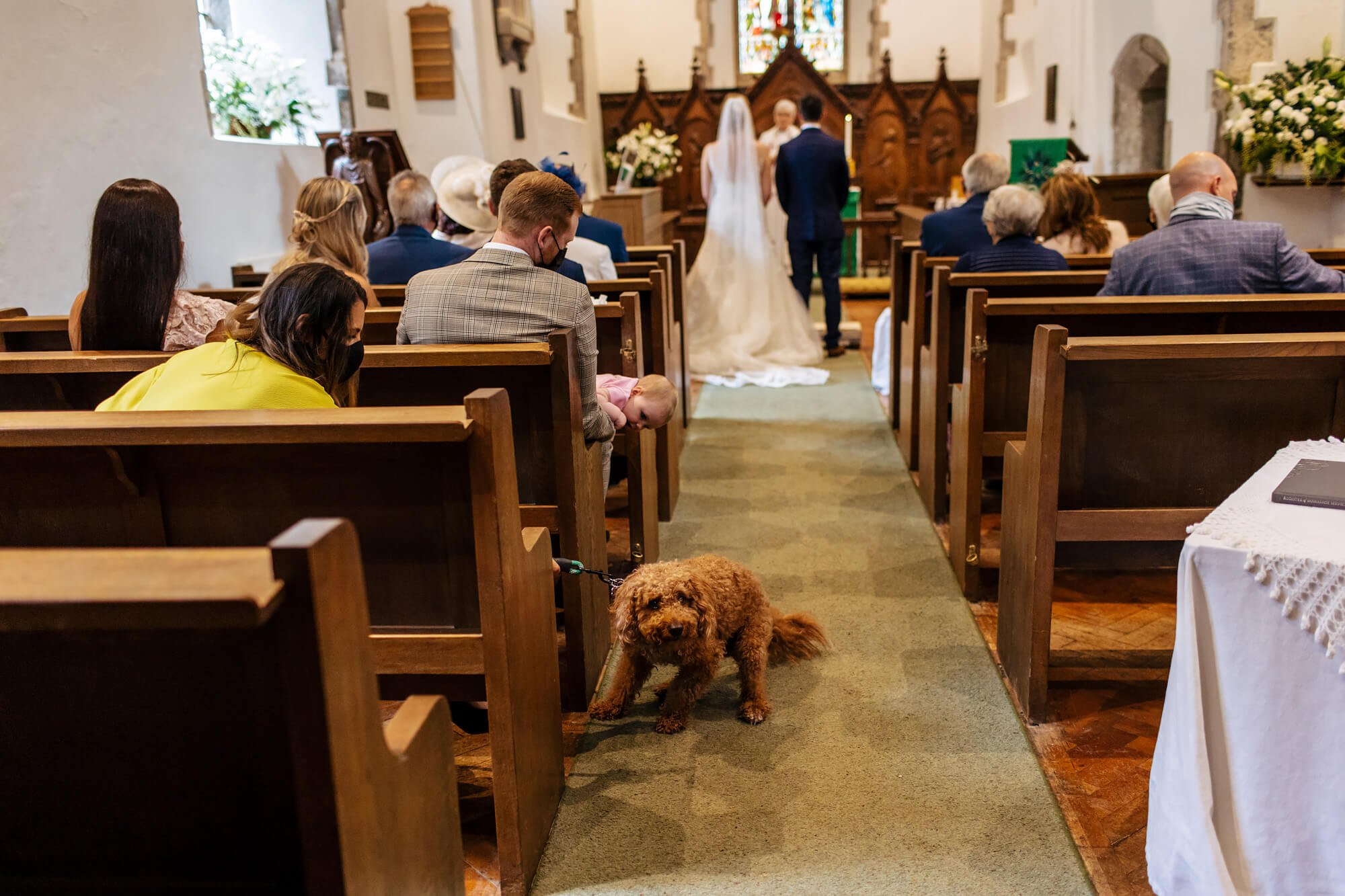 Dog in the church aisle during the wedding ceremony
