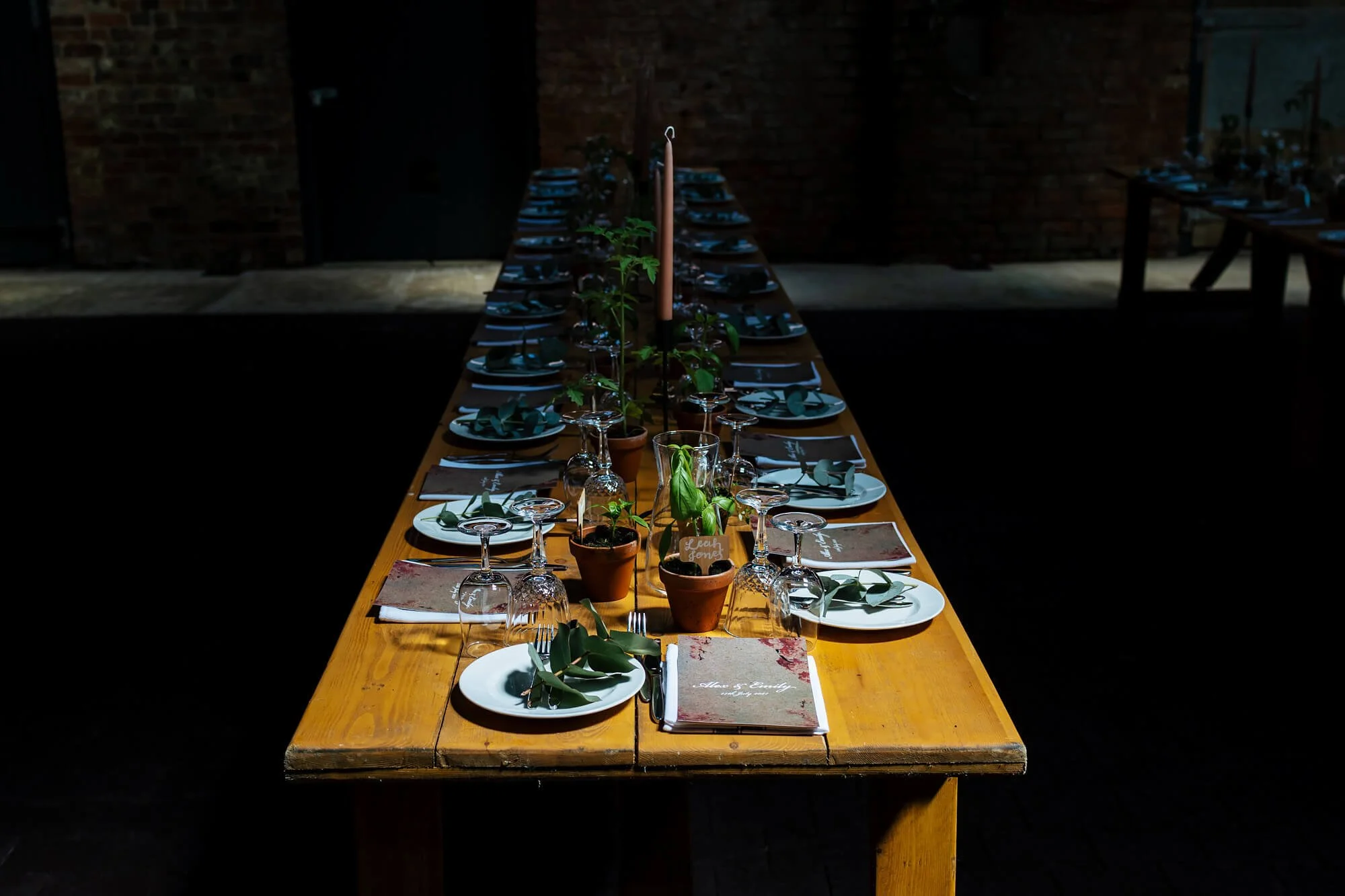 Potted plants on the table for a wedding set up