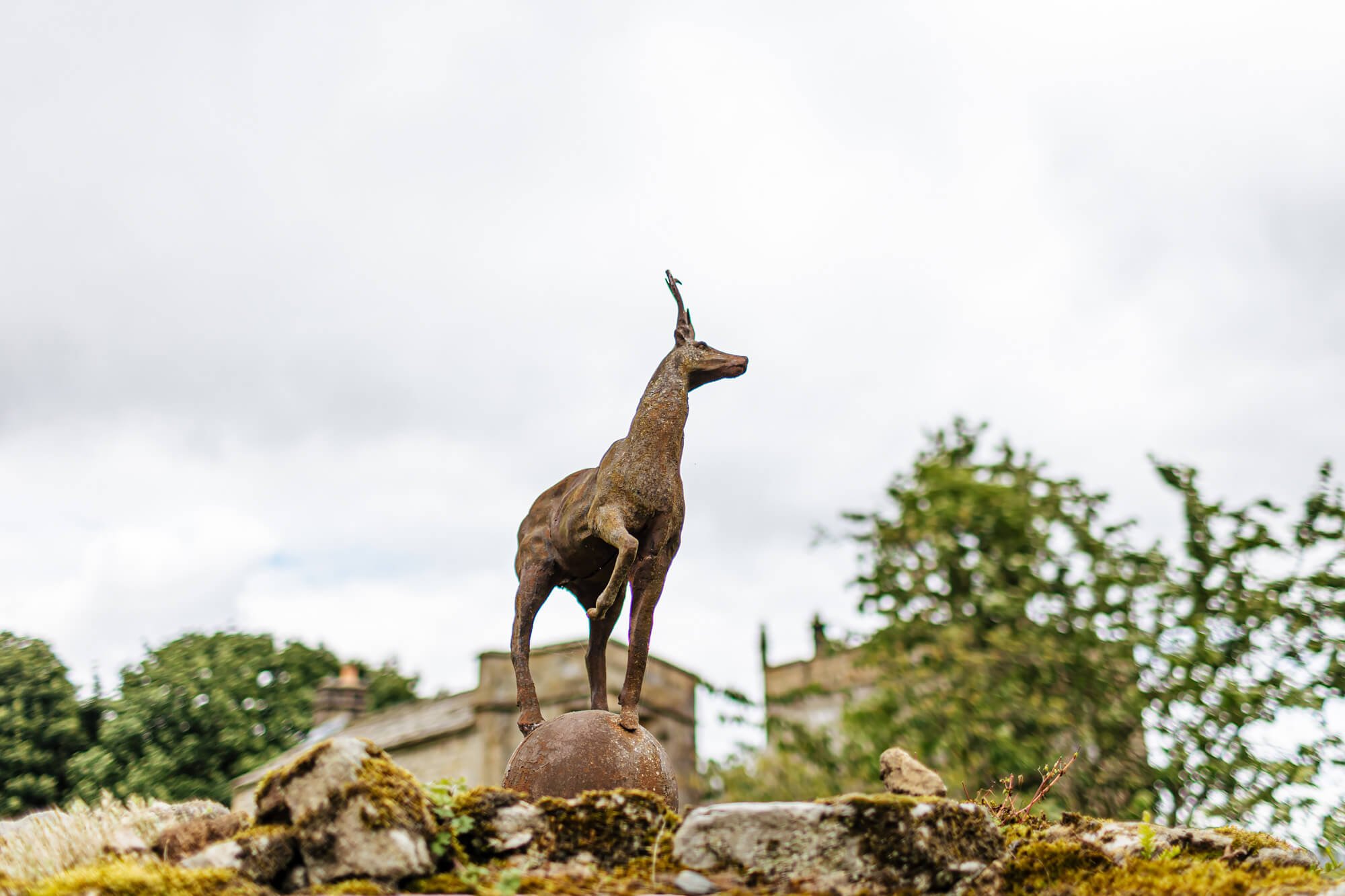 Stag sculpture at The Priests House