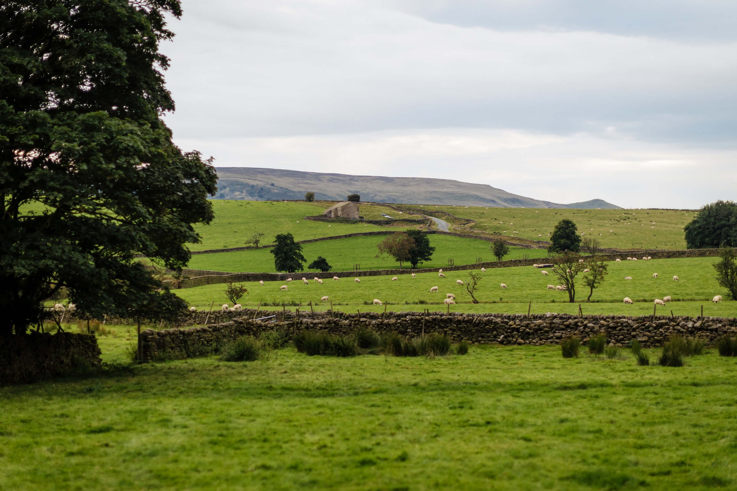 A landscape shot of The Yorkshire Dales