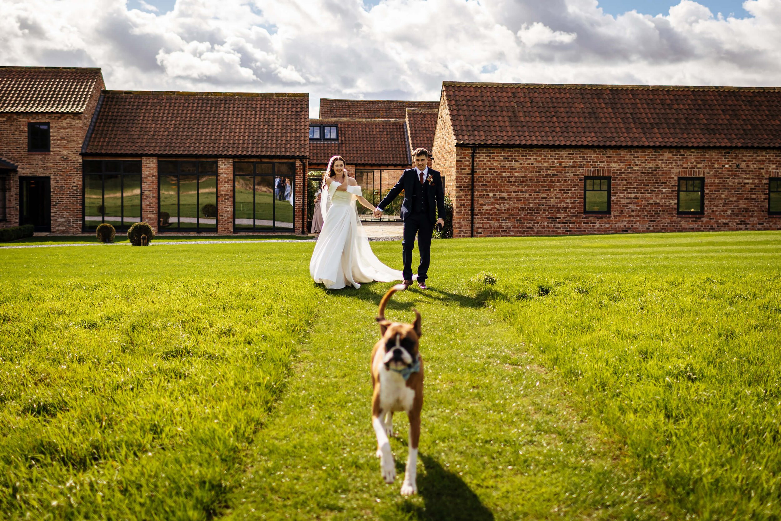 Bride and groom take a walk with their dog on the wedding day