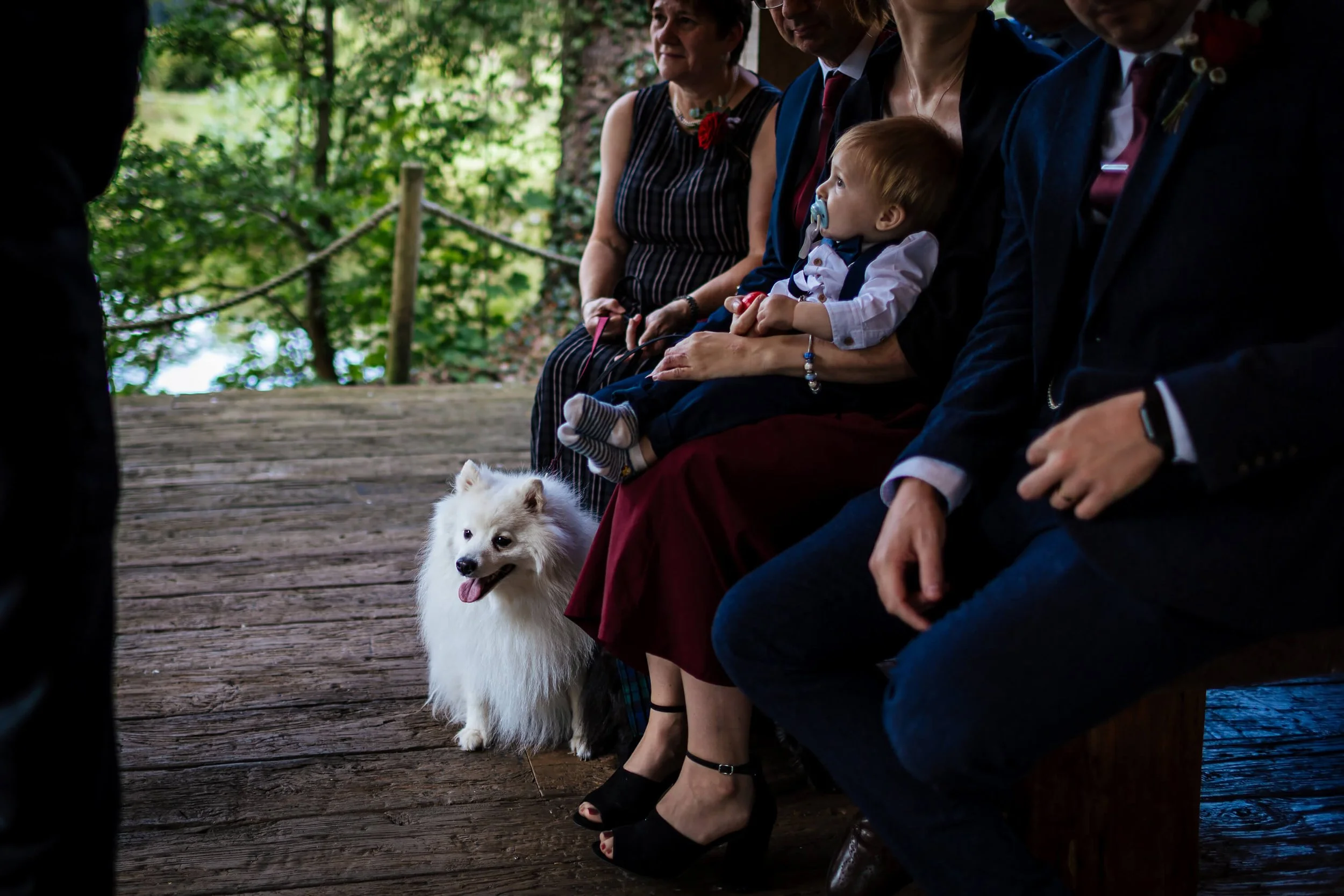 Dog at the wedding ceremony at Hackness Grange