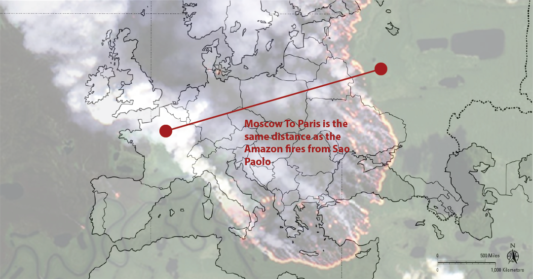 The fires raged so violently that they blocked the sun in Sao Paolo - the same distance between Moscow and Paris.