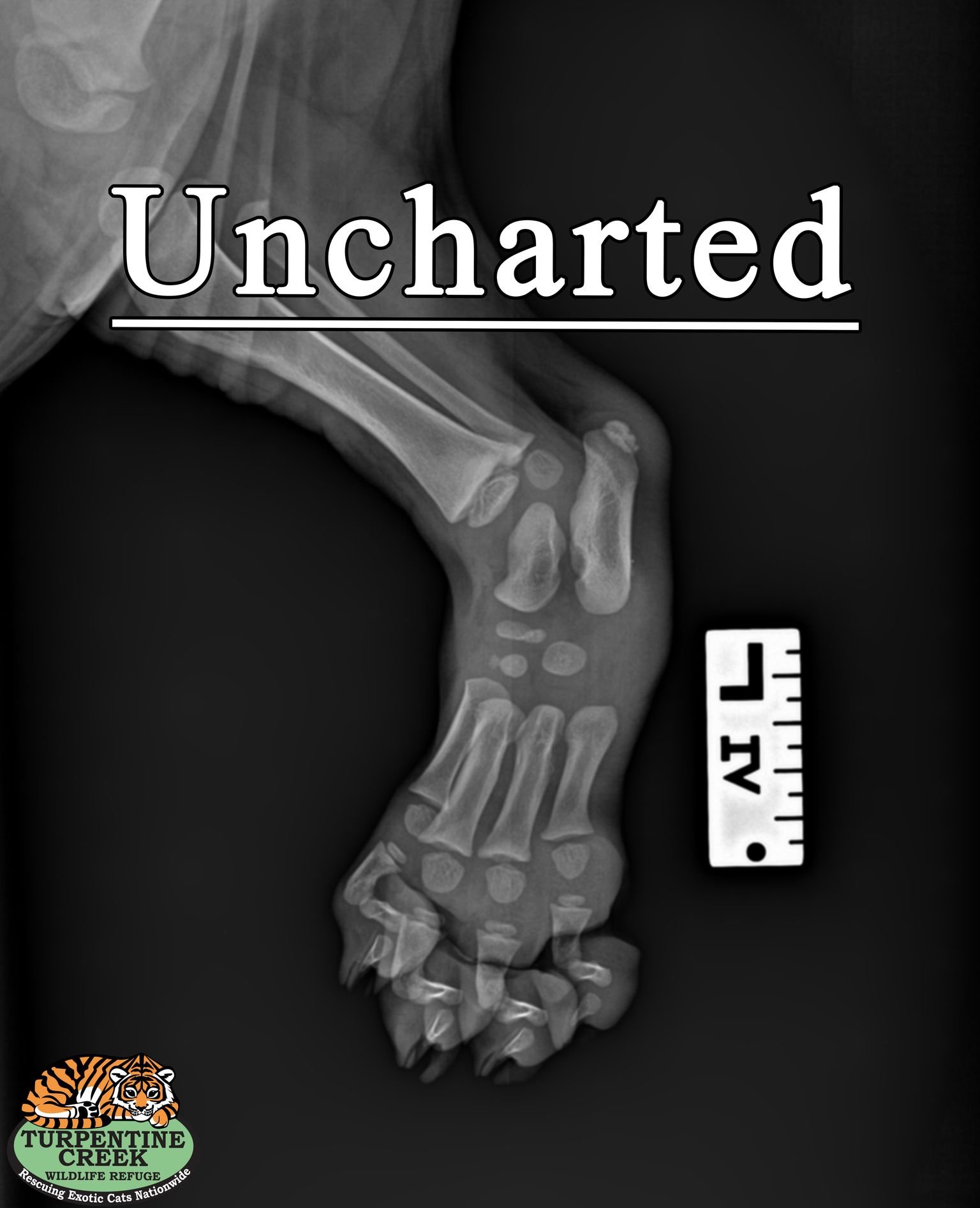 Uncharted.jpeg