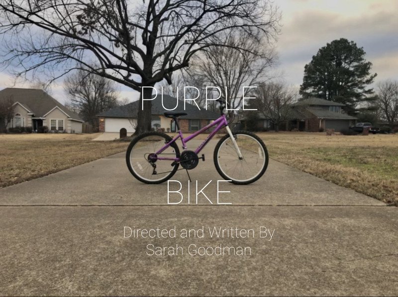Purple Bike.jpg