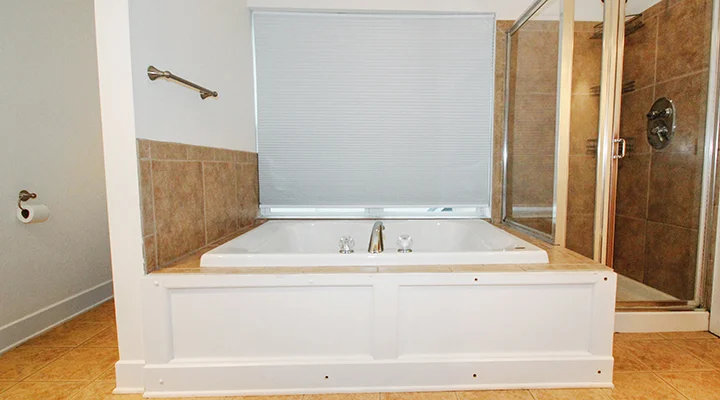 Master Bathroom- 2 (1).jpg