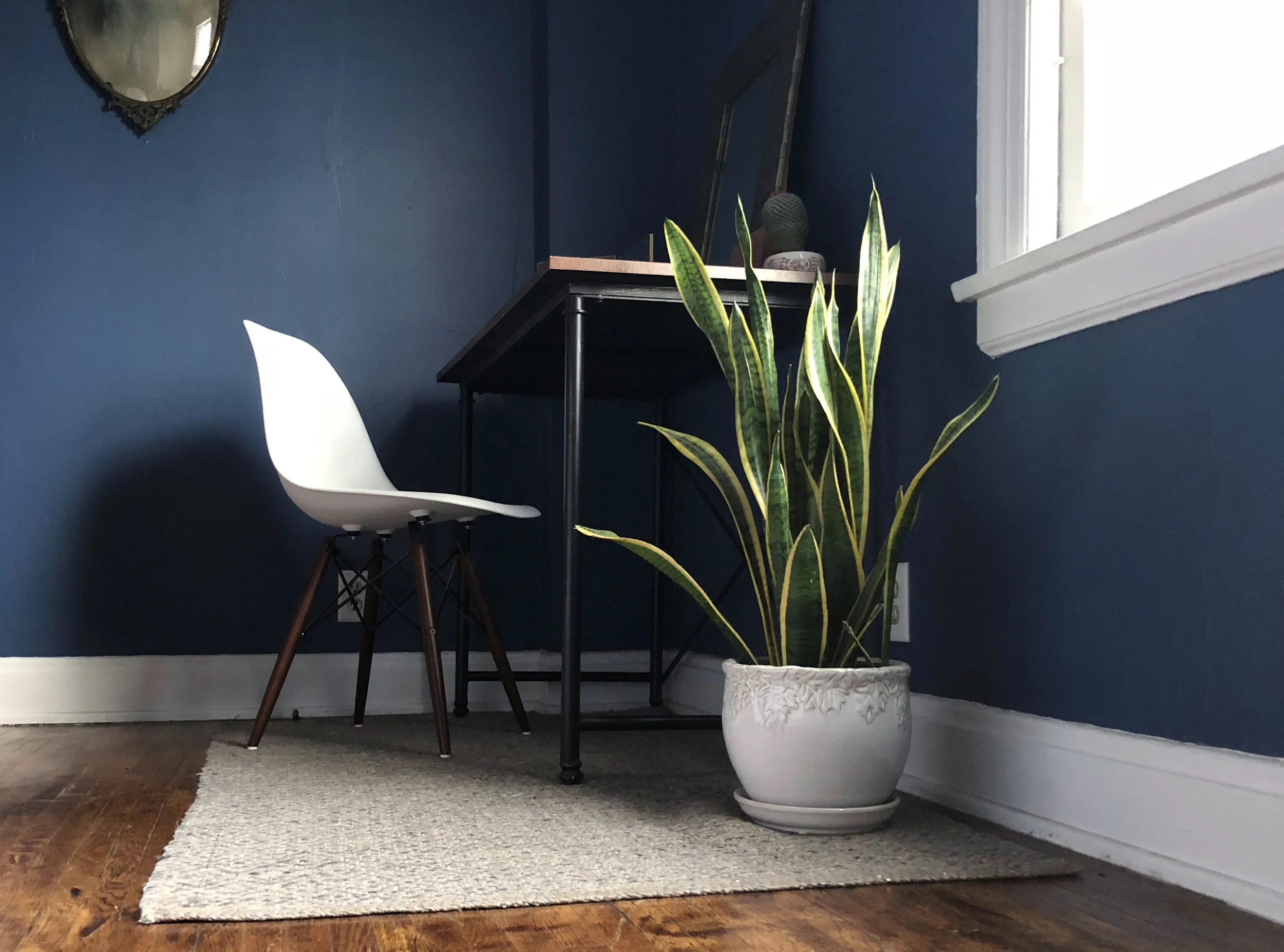 blue room.jpg
