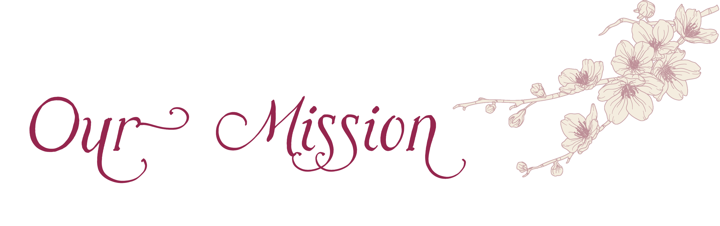 Our Mission