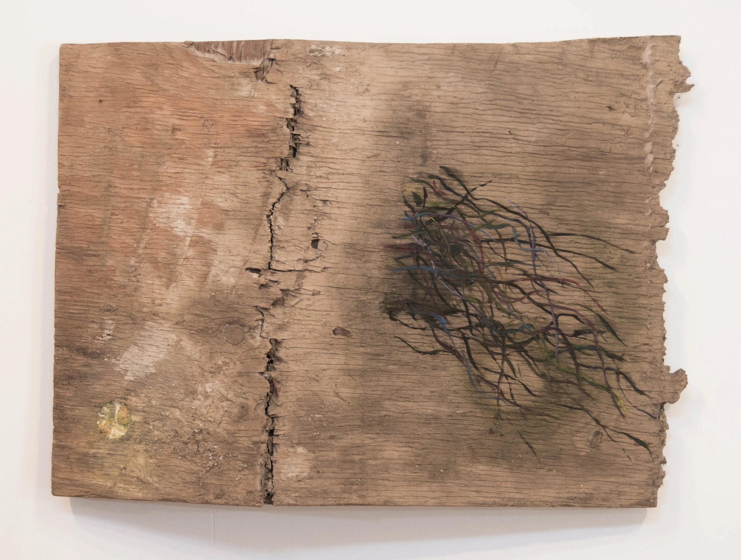 "Cracked" 2014