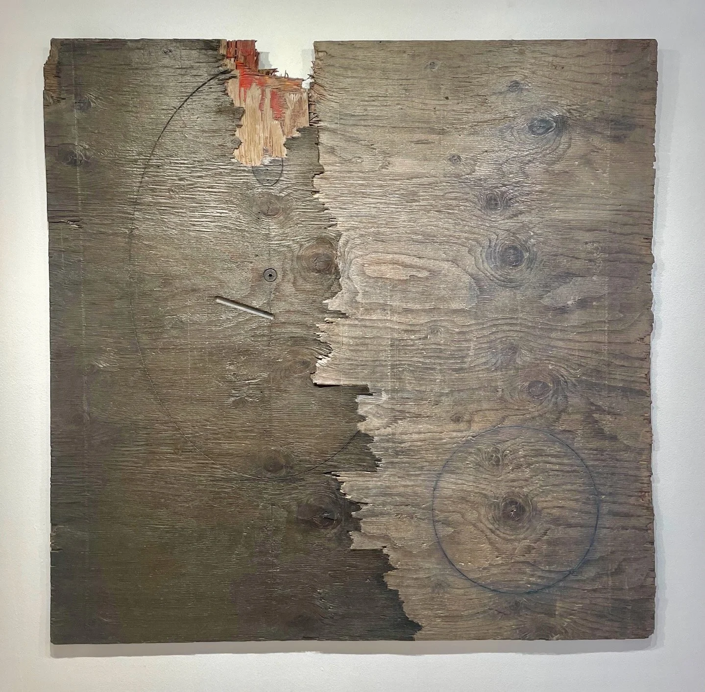 "Vitruvius in Shadow"  2020