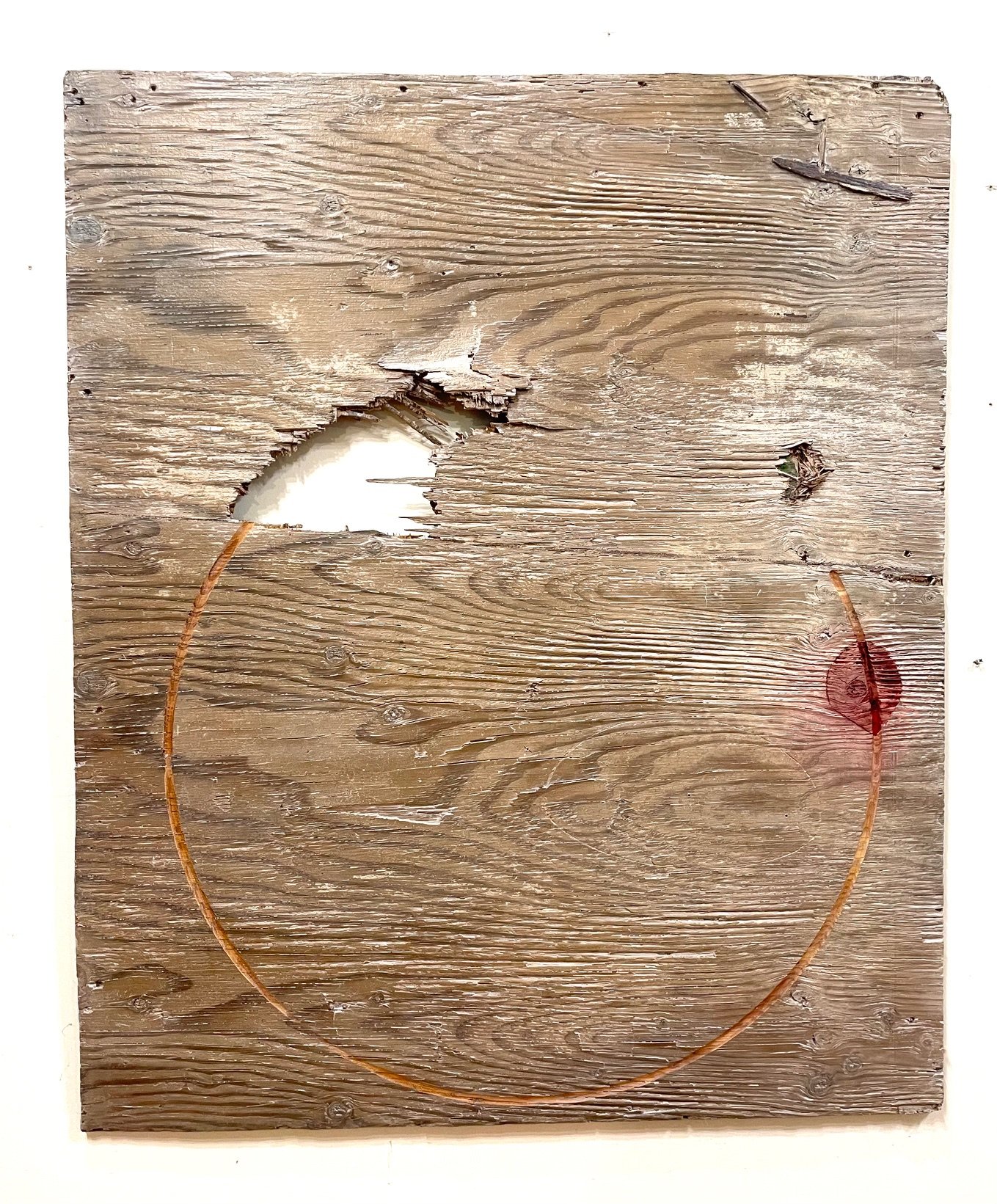 "Left Bundle Branch Block"  2021