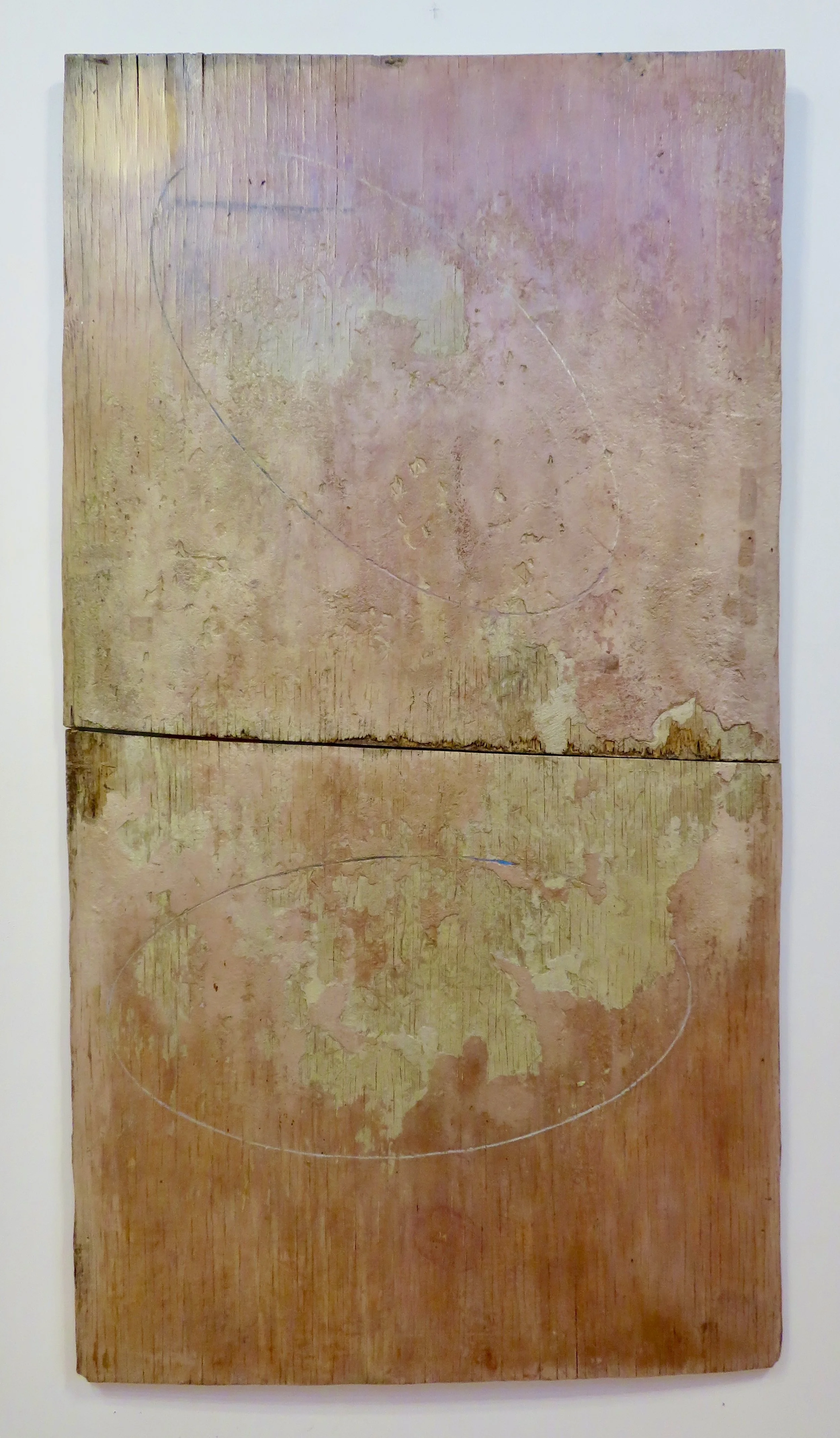 "Telophase"  2019