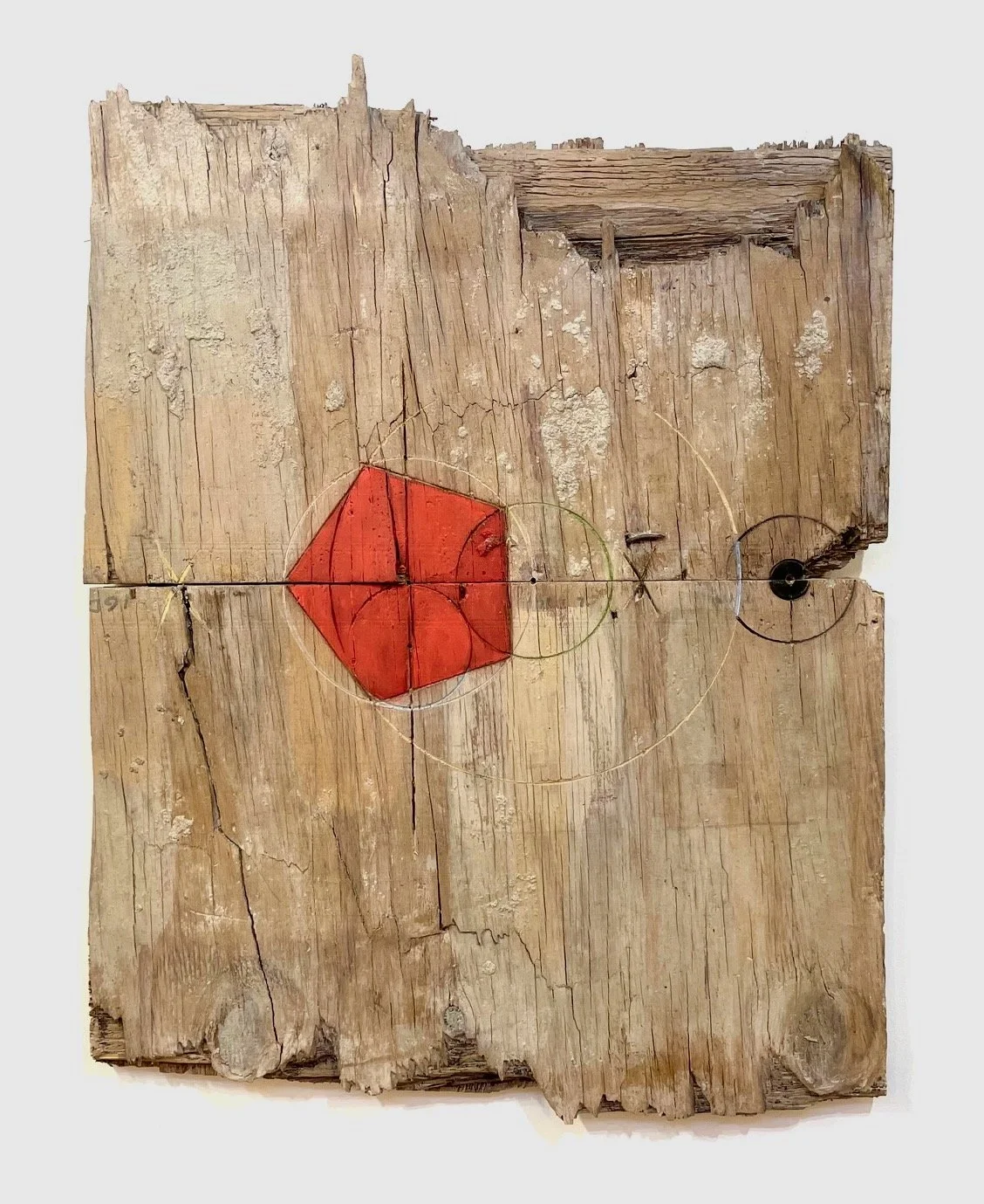 "Single Petal of a Rose"  2025