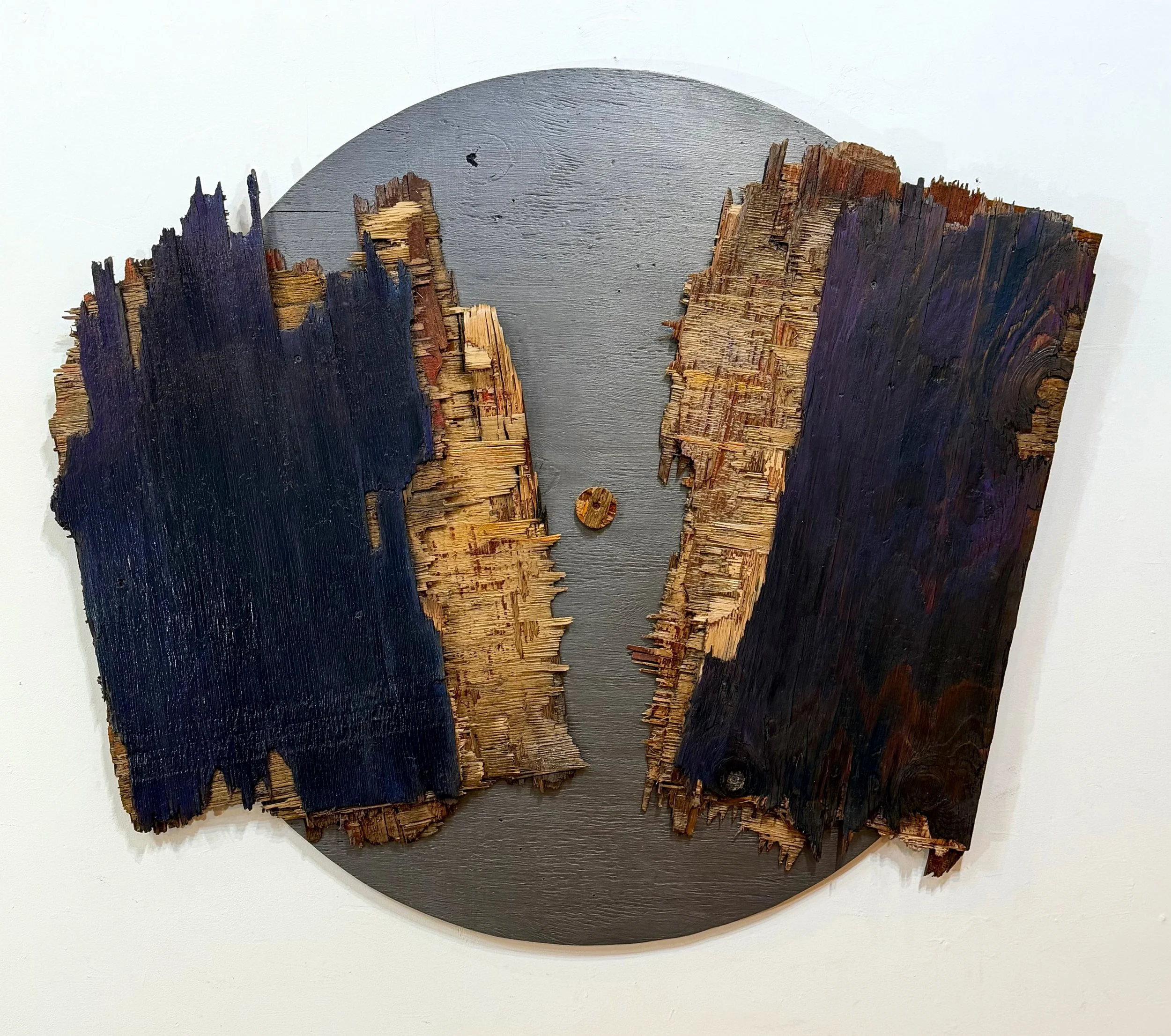 "Axis of Total Freedom"  2025