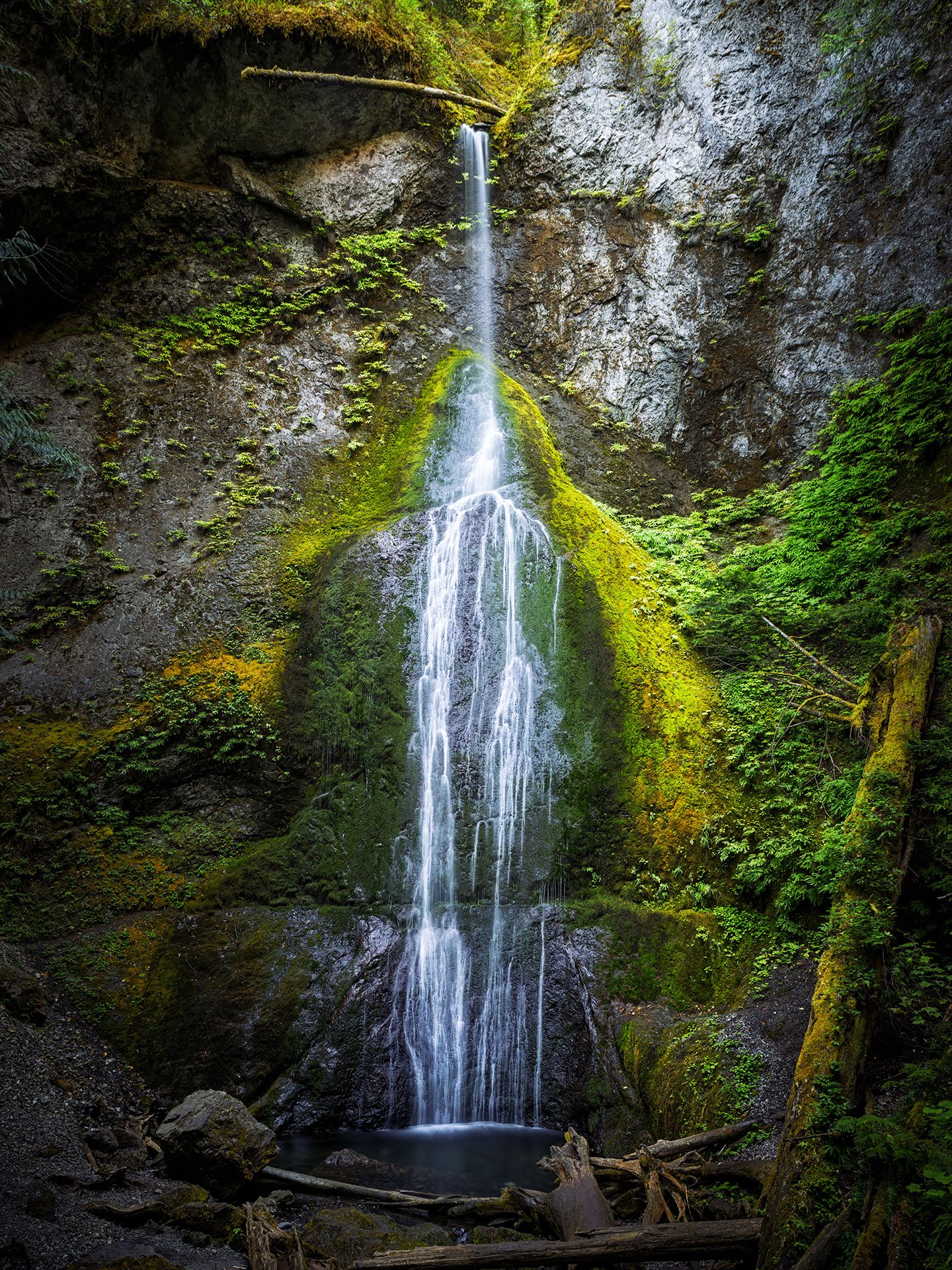 Marymere Falls streaming down a mossy rock face into a small pool in Olympic National Park, Washington, by Ryan L. Smith