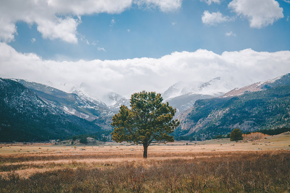 lonelytree-rockymountains.jpg