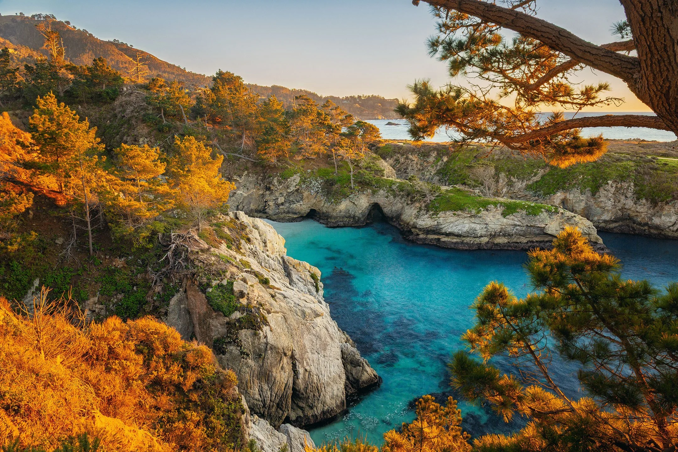 A turquoise cove at Point Lobos State Natural Reserve near Monterey, California, by Ryan L. Smith