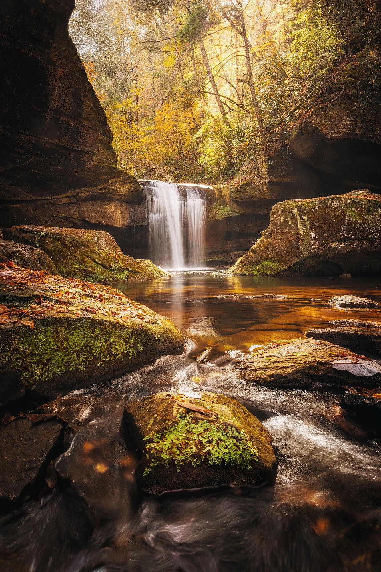 Dog Slaughter Falls flowing over sandstone into a golden autumn pool surrounded by fall foliage, Daniel Boone National Forest, Kentucky, by Ryan L. Smith