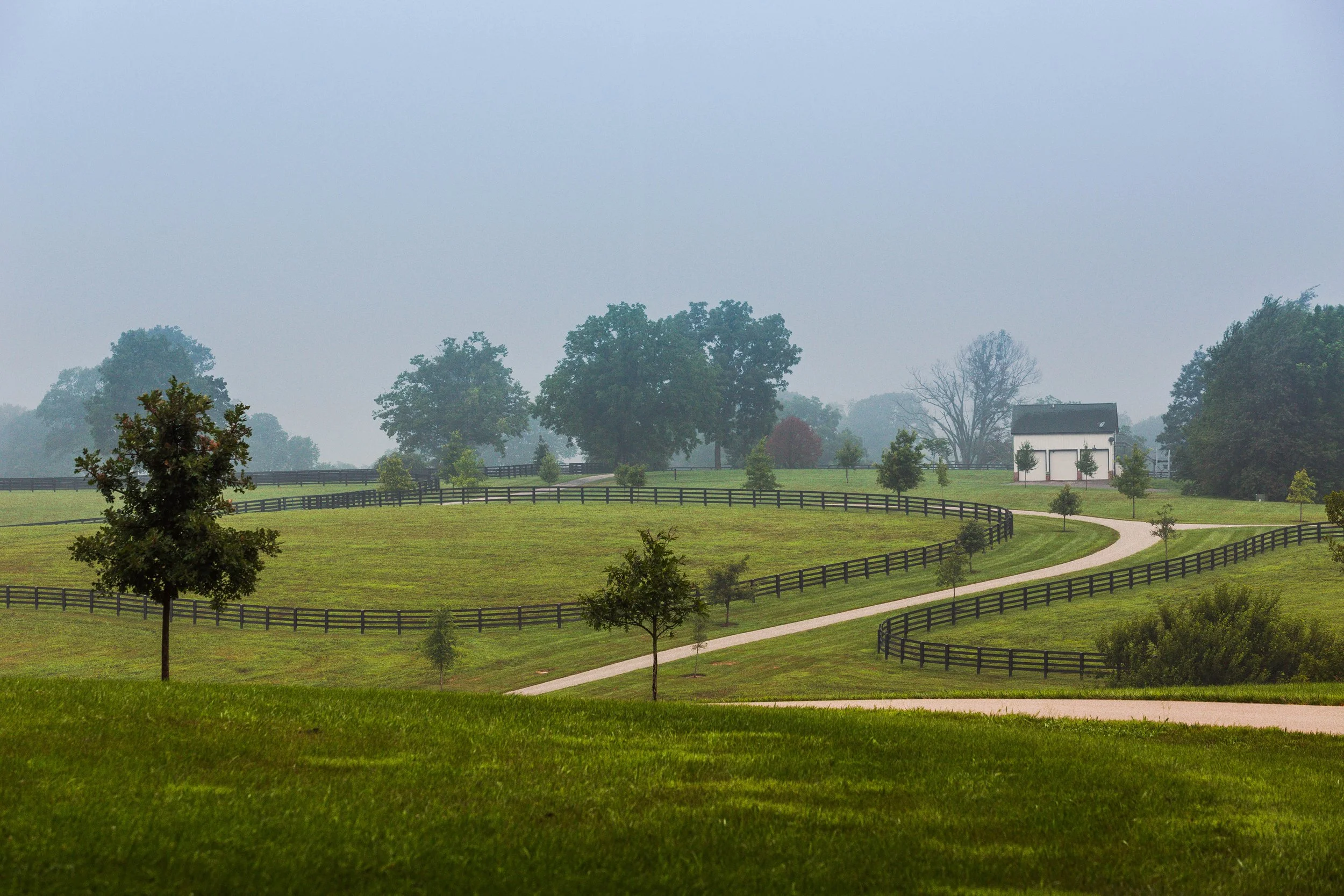 Winding road through rolling pastures and black fences on a misty morning at Mt. Brilliant Farm in Lexington, Kentucky