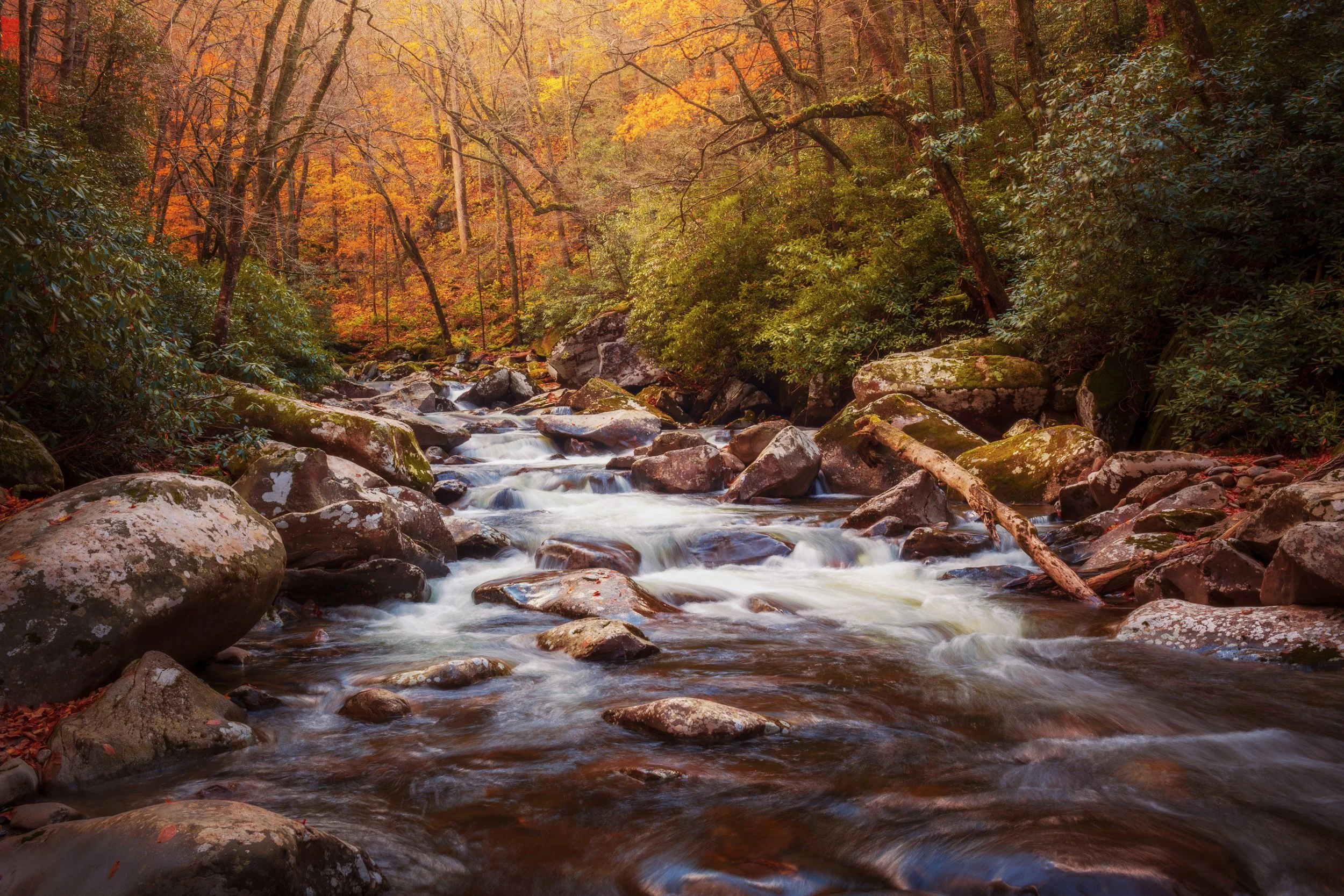 A waterfall cascading through lush green forest in Great Smoky Mountains National Park, Tennessee, by Ryan L. Smith