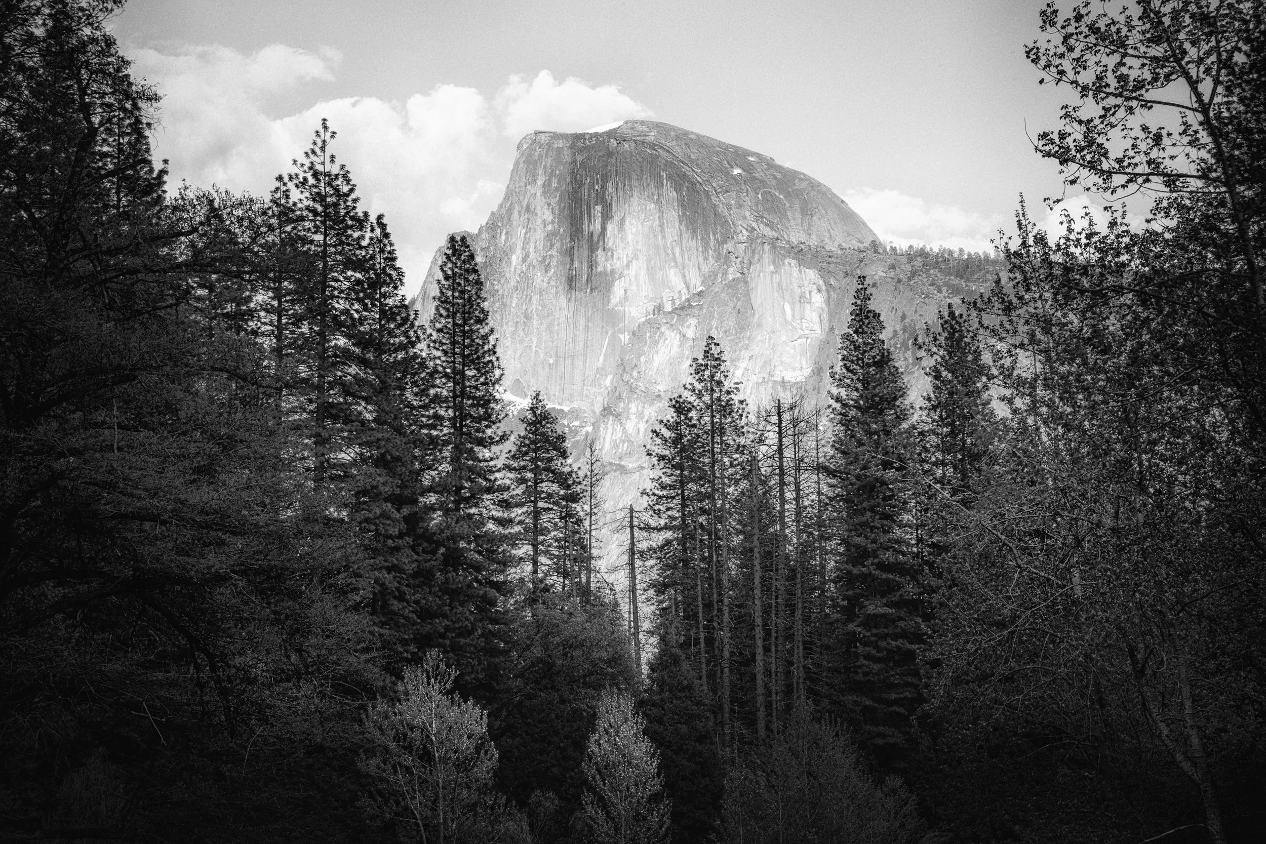 Black and white photograph of Half Dome, Yosemite National Park, California, by Ryan L. Smith