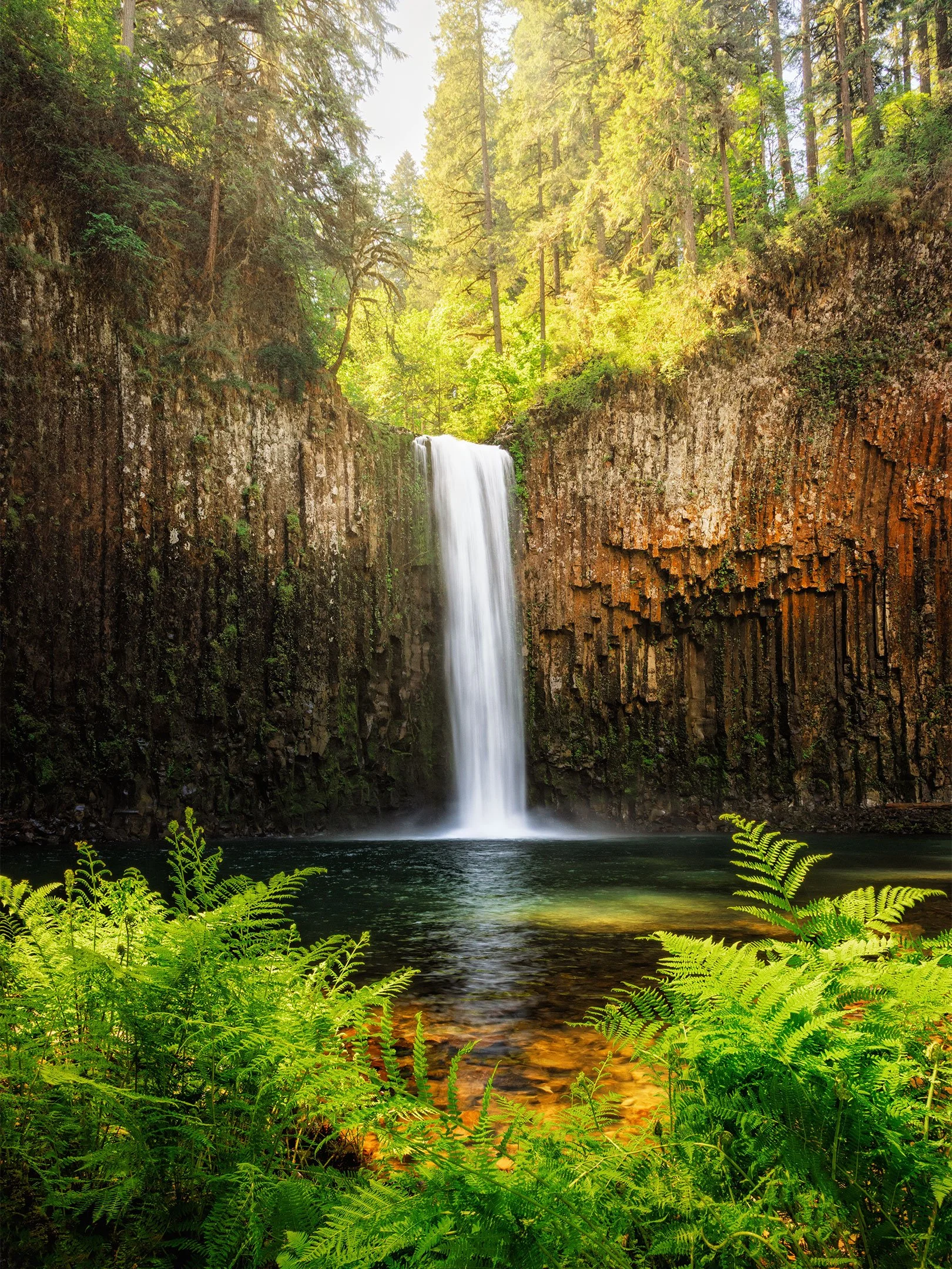 Abiqua Falls pouring over a curved basalt amphitheater into a green pool framed by ferns, Oregon, by Ryan L. Smith