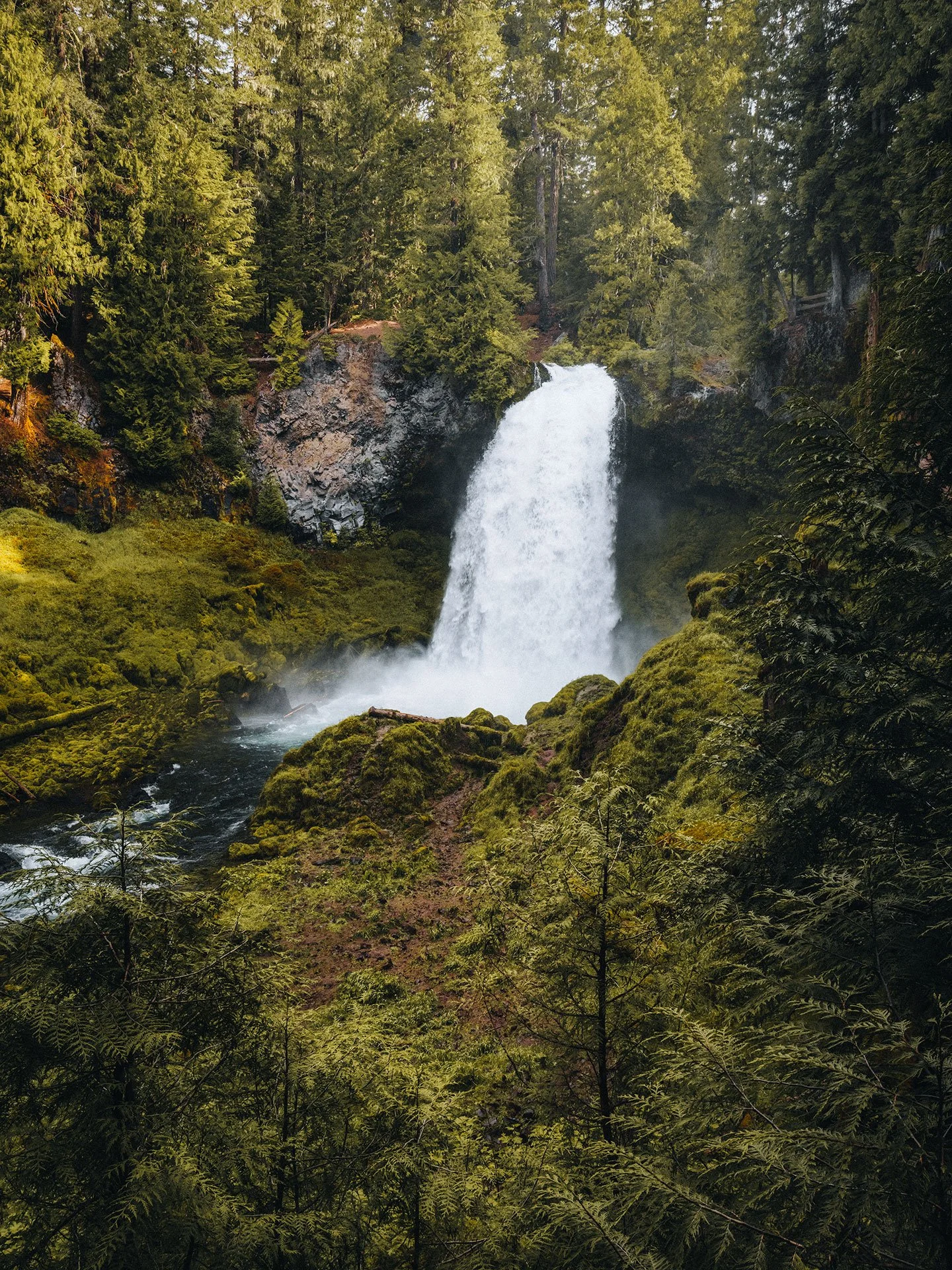Sahalie Falls pouring over a basalt cliff into the McKenzie River surrounded by lush evergreen forest, Oregon, by Ryan L. Smith