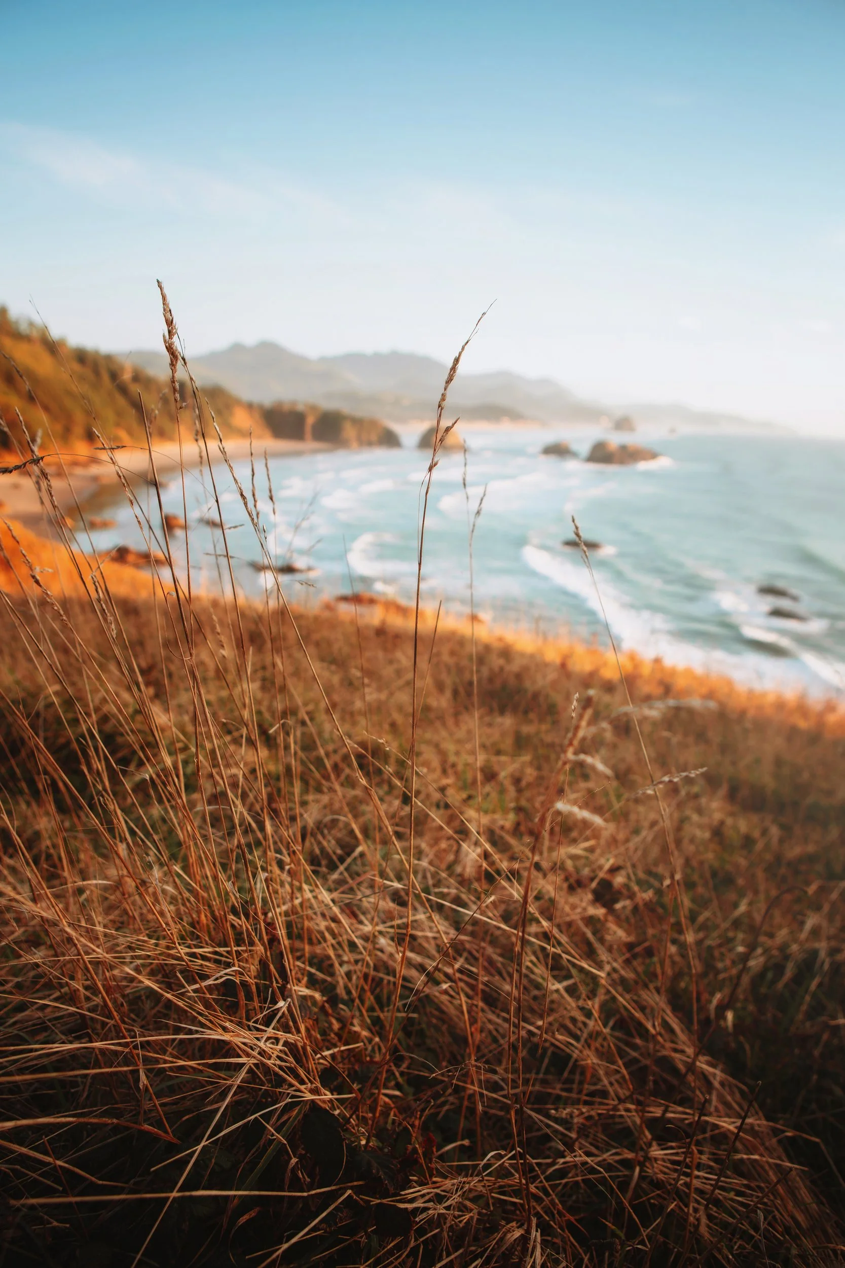 Coastal grasses glowing at sunset above the sea stacks of Ecola State Park, Oregon, by Ryan L. Smith