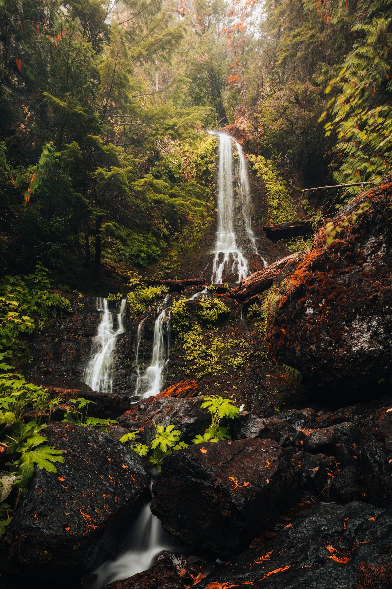 A forest waterfall cascading over rocks in Mount Rainier National Park, Washington, by Ryan L. Smith
