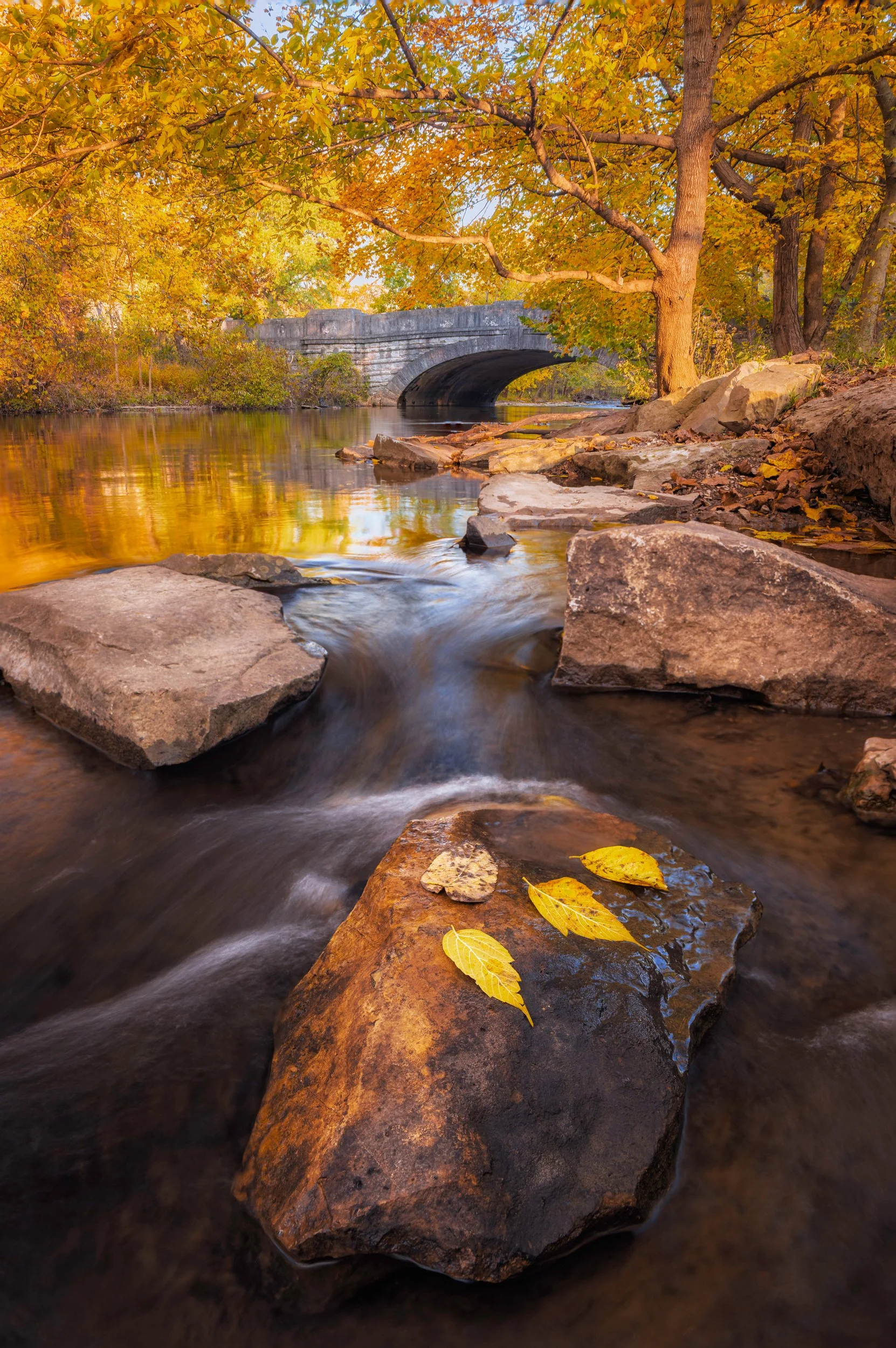 A stone bridge at Big Rock in Cherokee Park, Louisville, Kentucky, by Ryan L. Smith