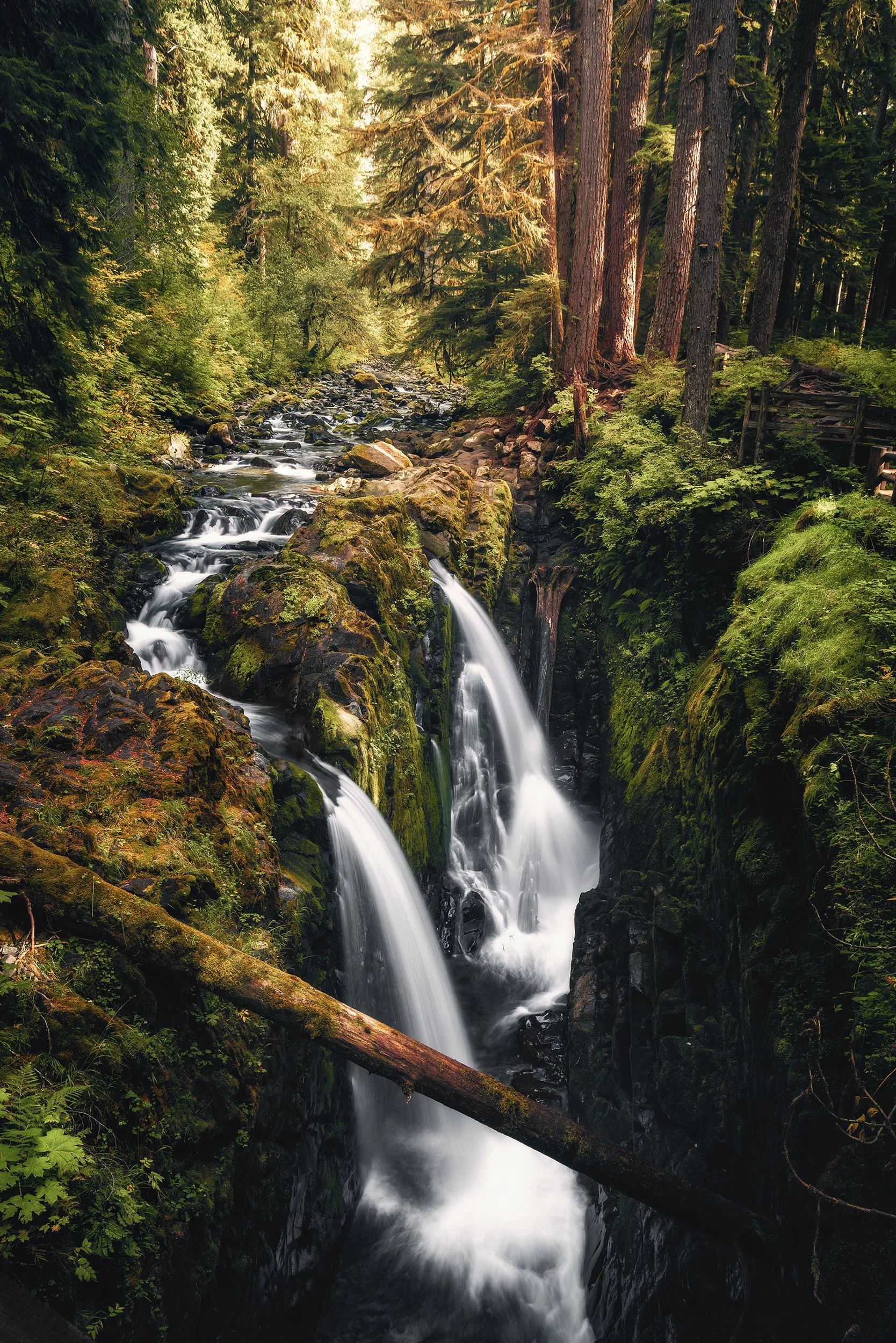 Sol Duc Falls flowing through the green rainforest of Olympic National Park, Washington, by Ryan L. Smith