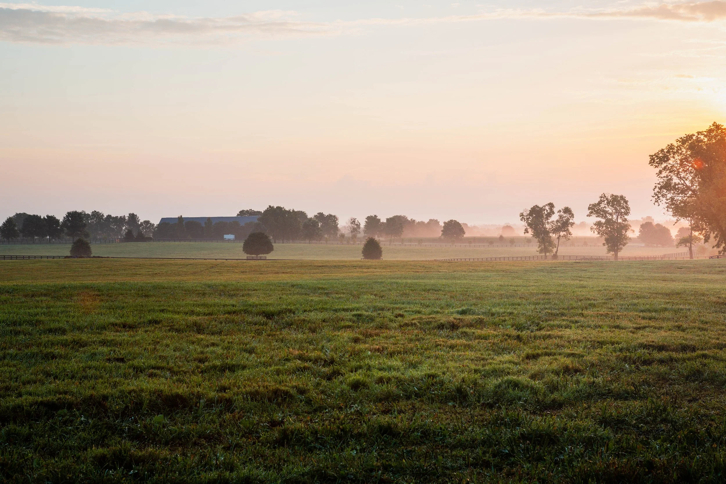 Sunrise rolling hills at Mt Brilliant Farm in Lexington