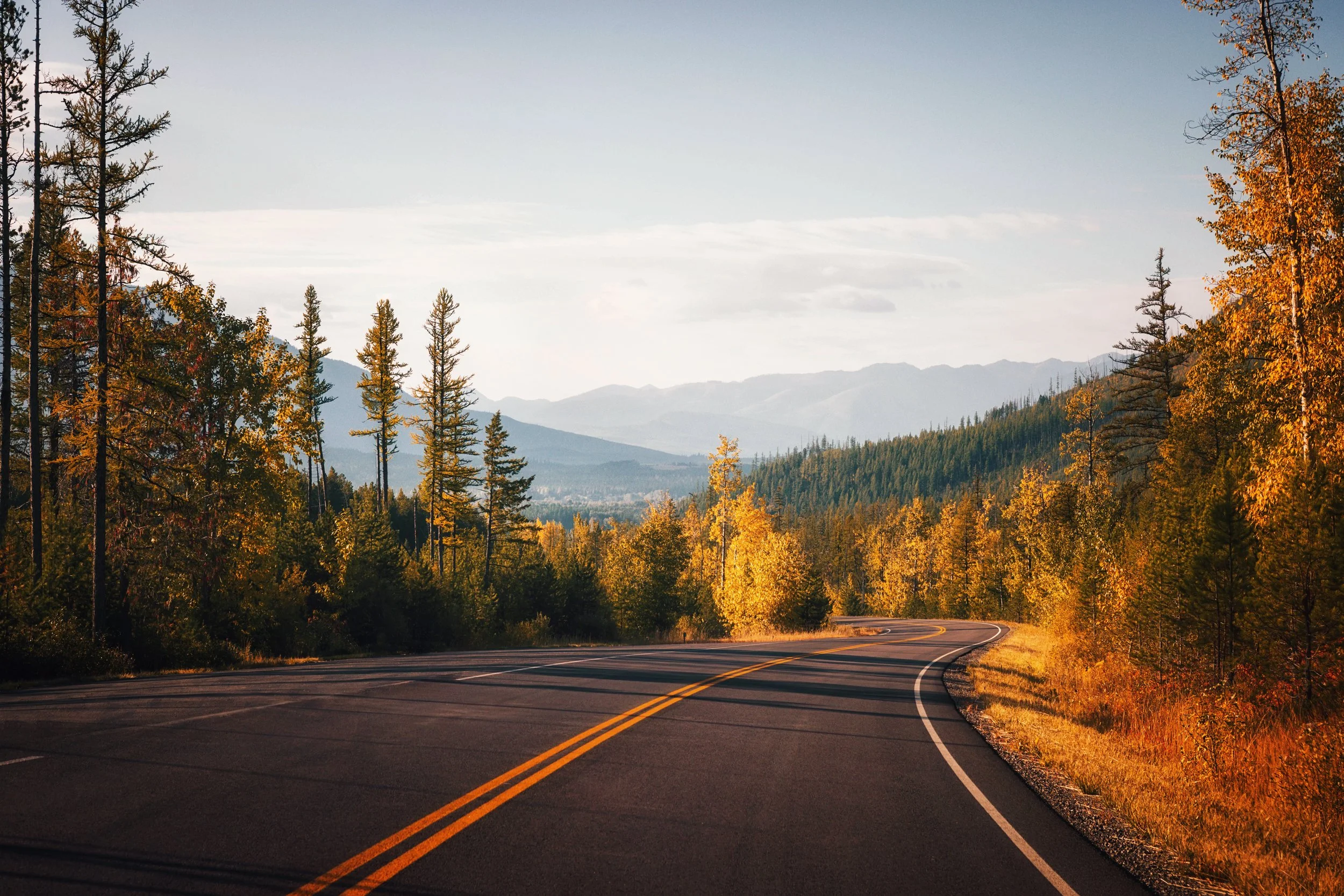 A road lined with golden fall trees leading into Glacier National Park, Montana, by Ryan L. Smith