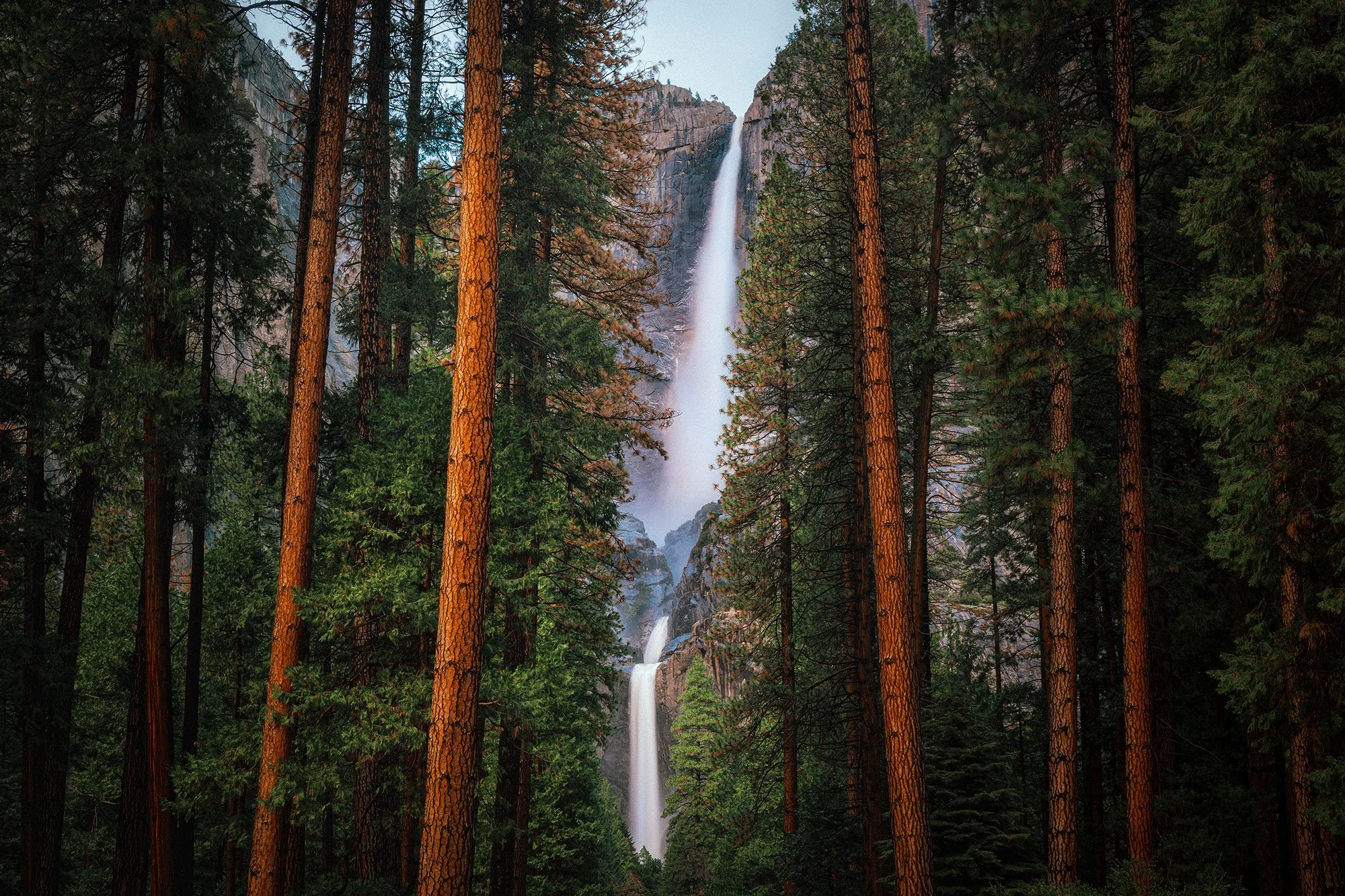 Yosemite Falls cascading down granite cliffs framed by tall ponderosa pines, Yosemite National Park, California, by Ryan L. Smith
