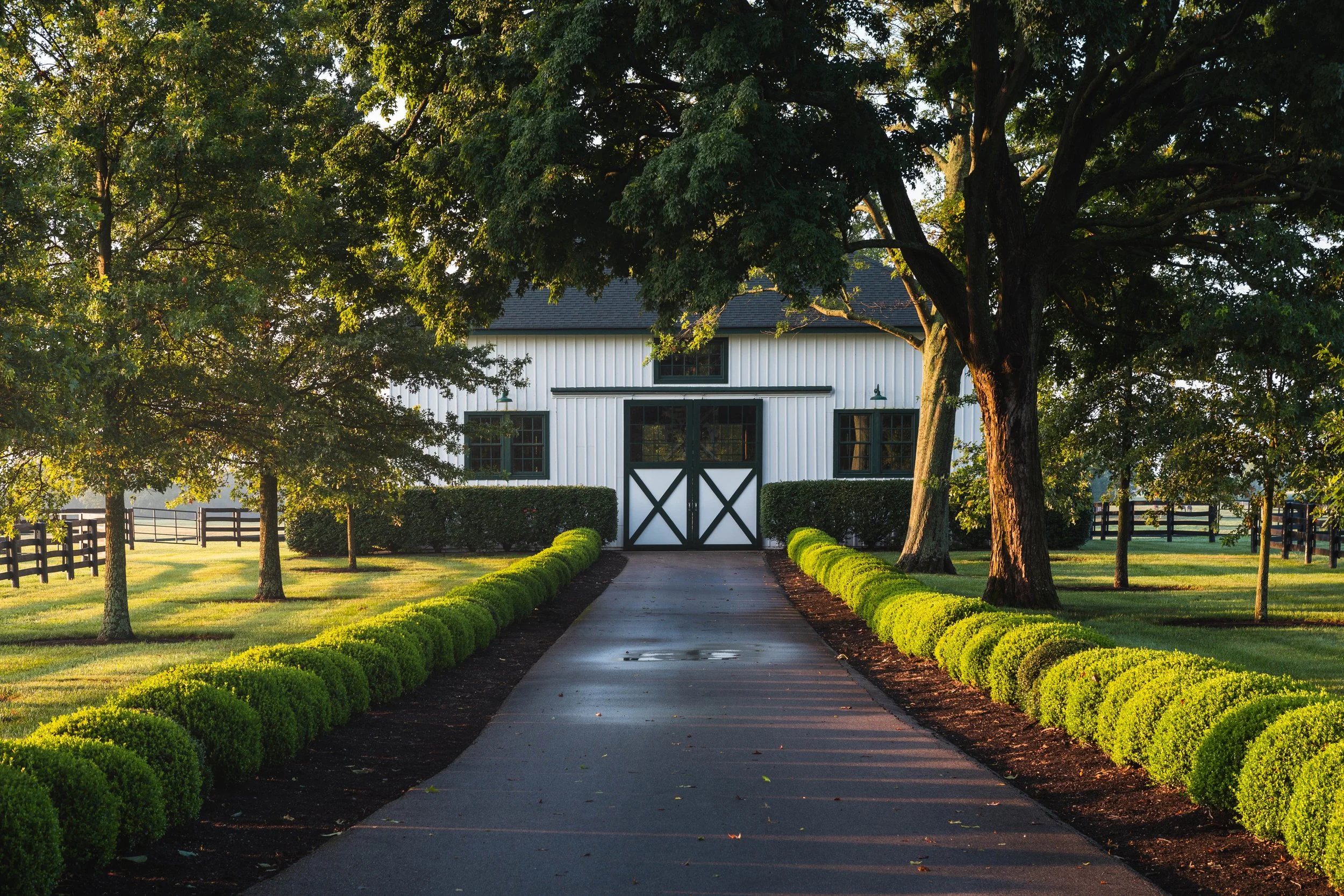 Hedge-lined driveway leading to Man o' War's Barn at Mt. Brilliant Farm
