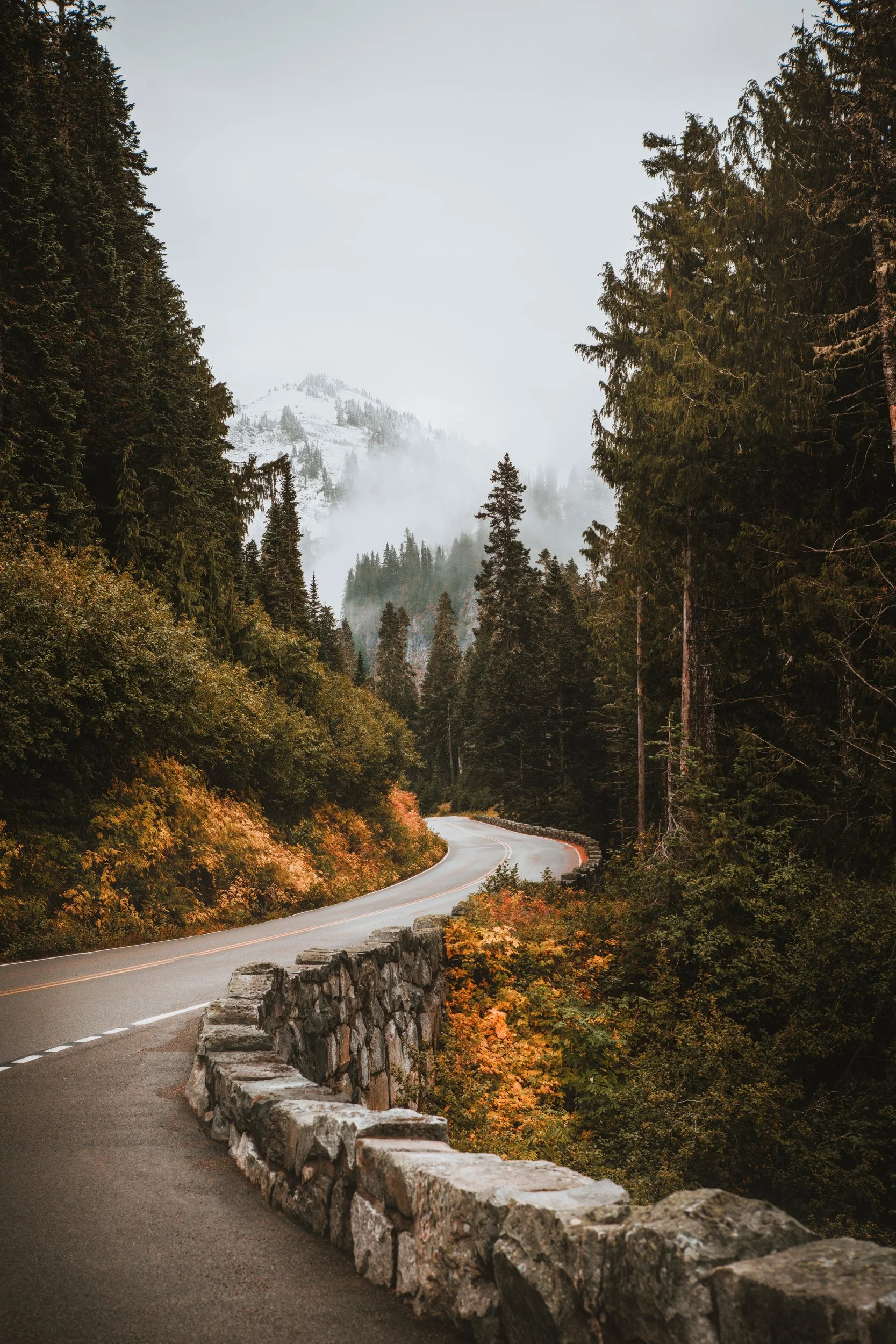 Mount Rainier rising at the end of a forest-lined road, Mount Rainier National Park, Washington, by Ryan L. Smith
