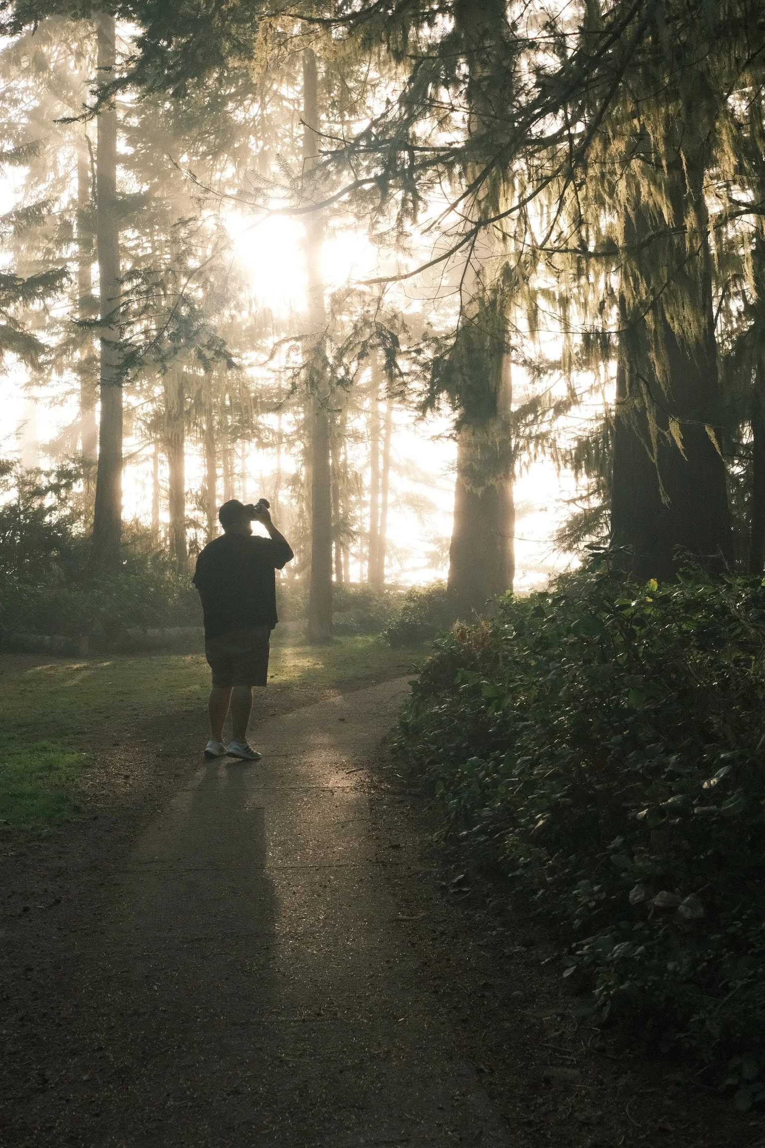 Ryan L. Smith walking a forest trail at sunset in the Pacific Northwest.