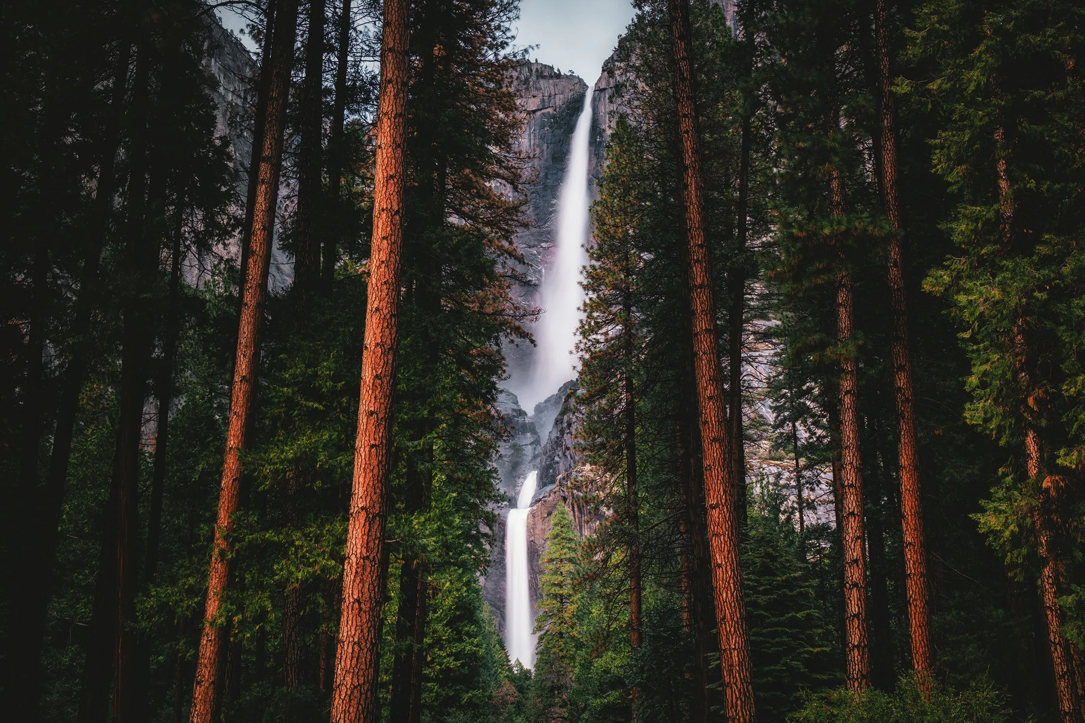 Yosemite Falls framed symmetrically by tall pine trees, California, by Ryan L. Smith