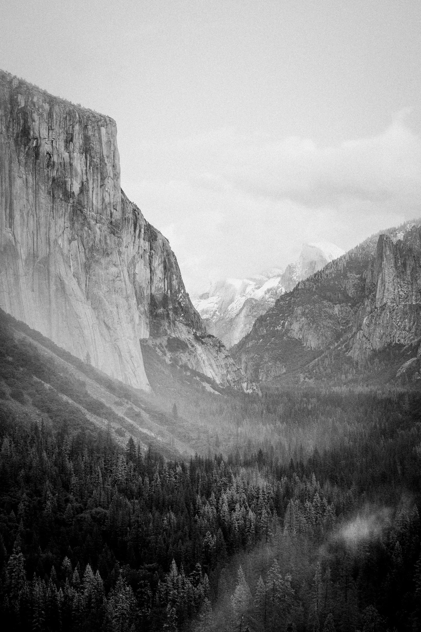 Black and white photograph of fog filling Yosemite Valley from Tunnel View, Yosemite National Park, California, by Ryan L. Smith