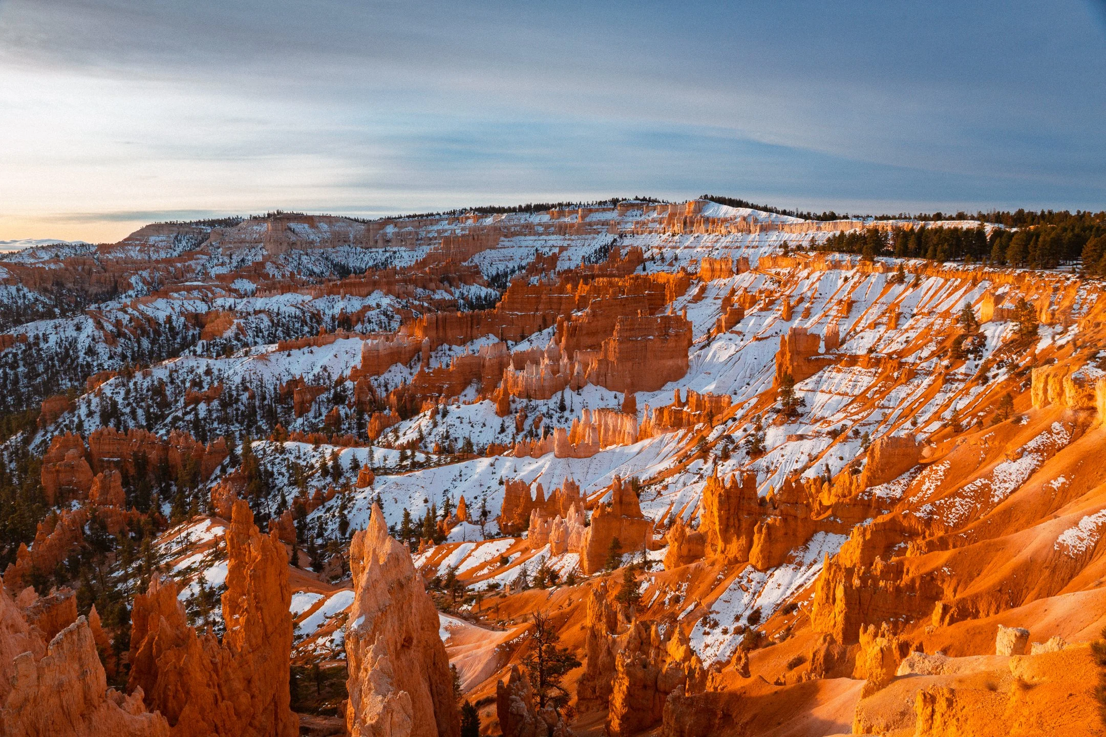 Snow covered hoodoos glowing in early light at Bryce Canyon National Park, Utah, by Ryan L. Smith