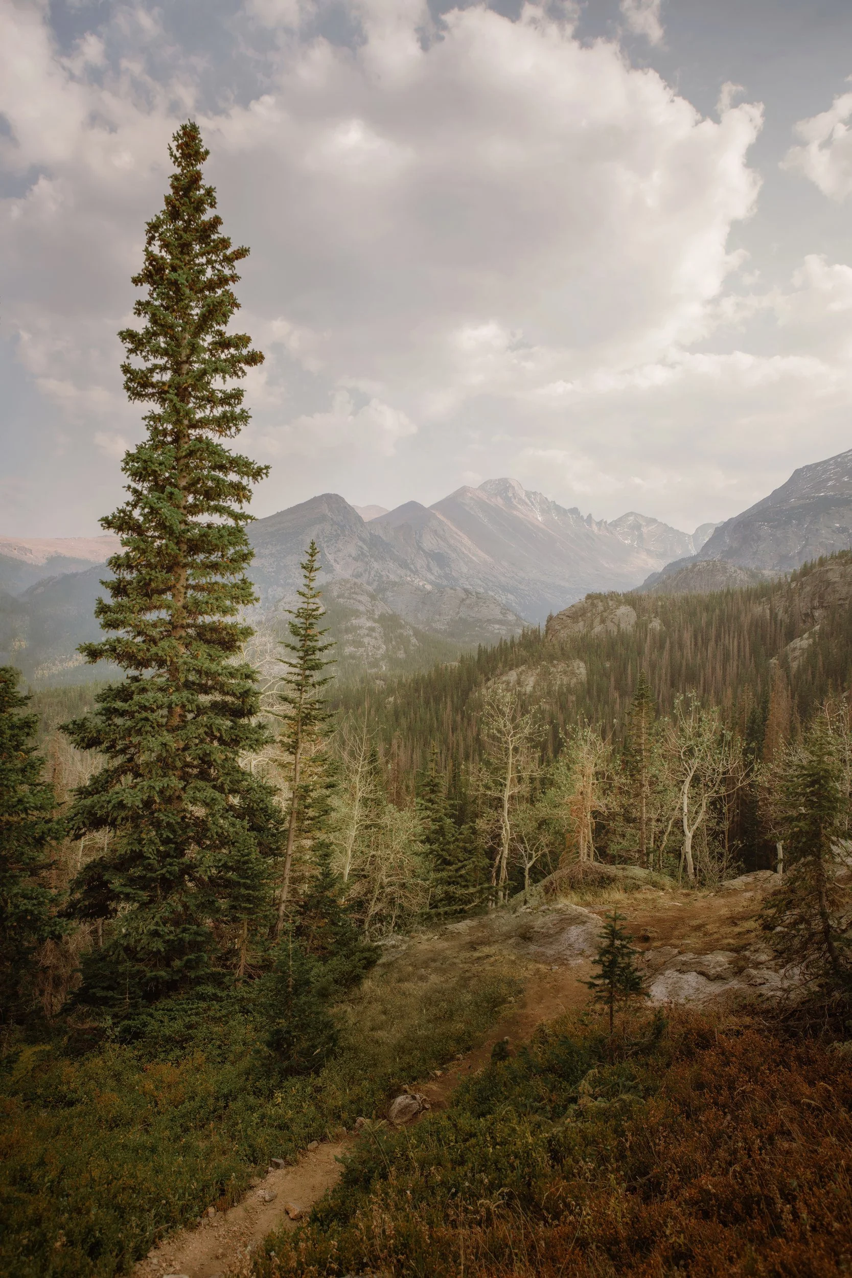 Calm water and rugged peaks at Dream Lake along the trail in Rocky Mountain National Park, Colorado, by Ryan L. Smith