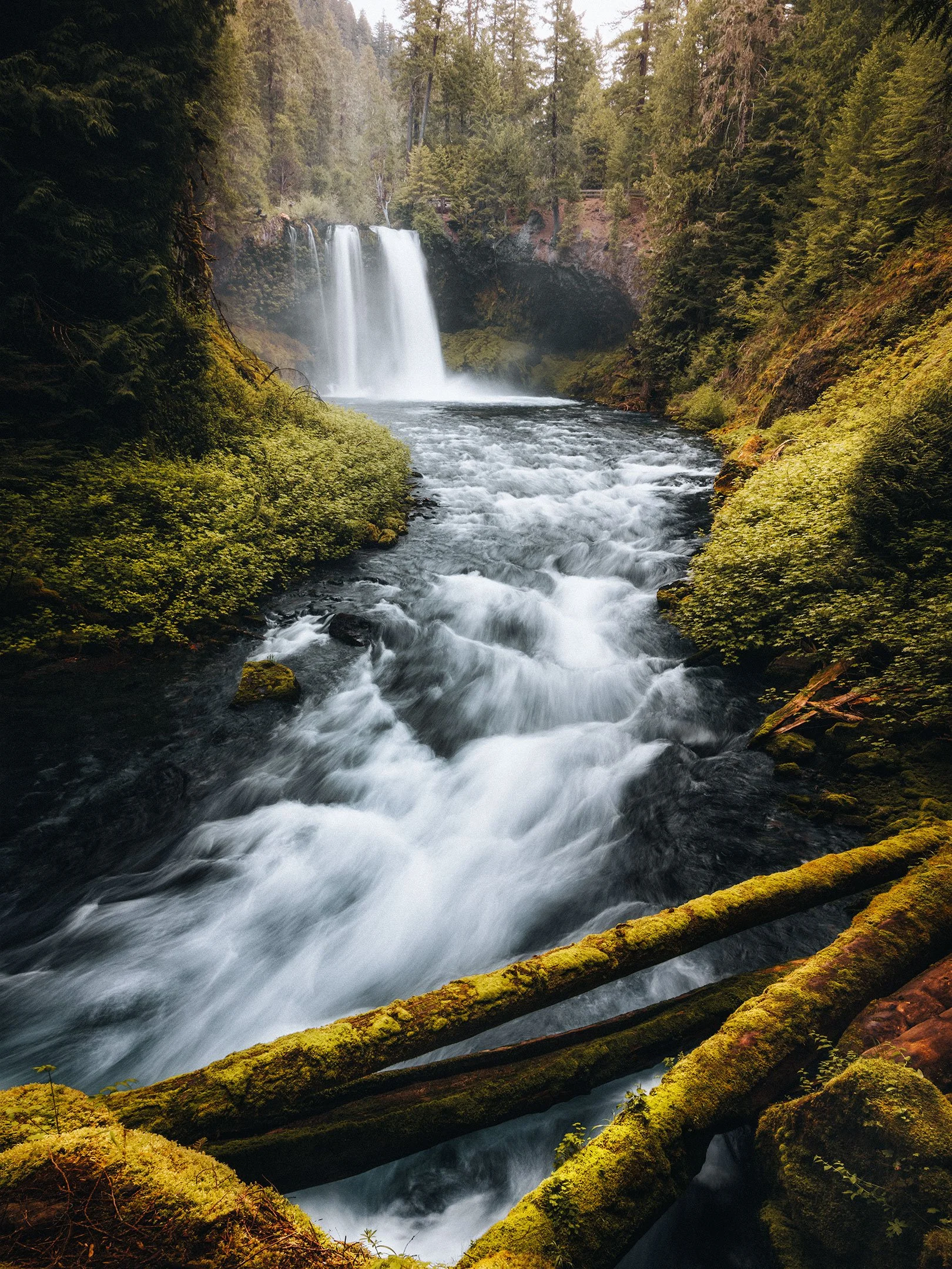 Koosah Falls tumbling into the churning McKenzie River framed by moss-covered logs and green forest, Oregon, by Ryan L. Smith