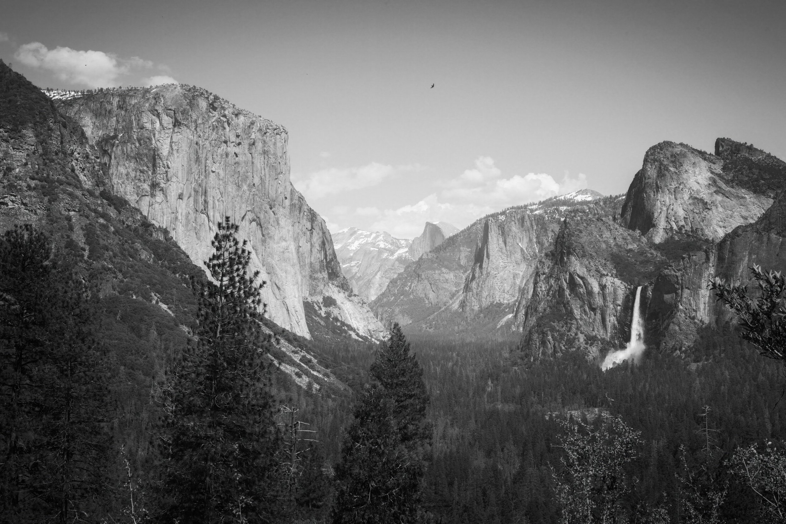 A black and white photograph of a lone bird flying across the classic Tunnel View of Yosemite Valley, Yosemite National Park, California, by Ryan L. Smith
