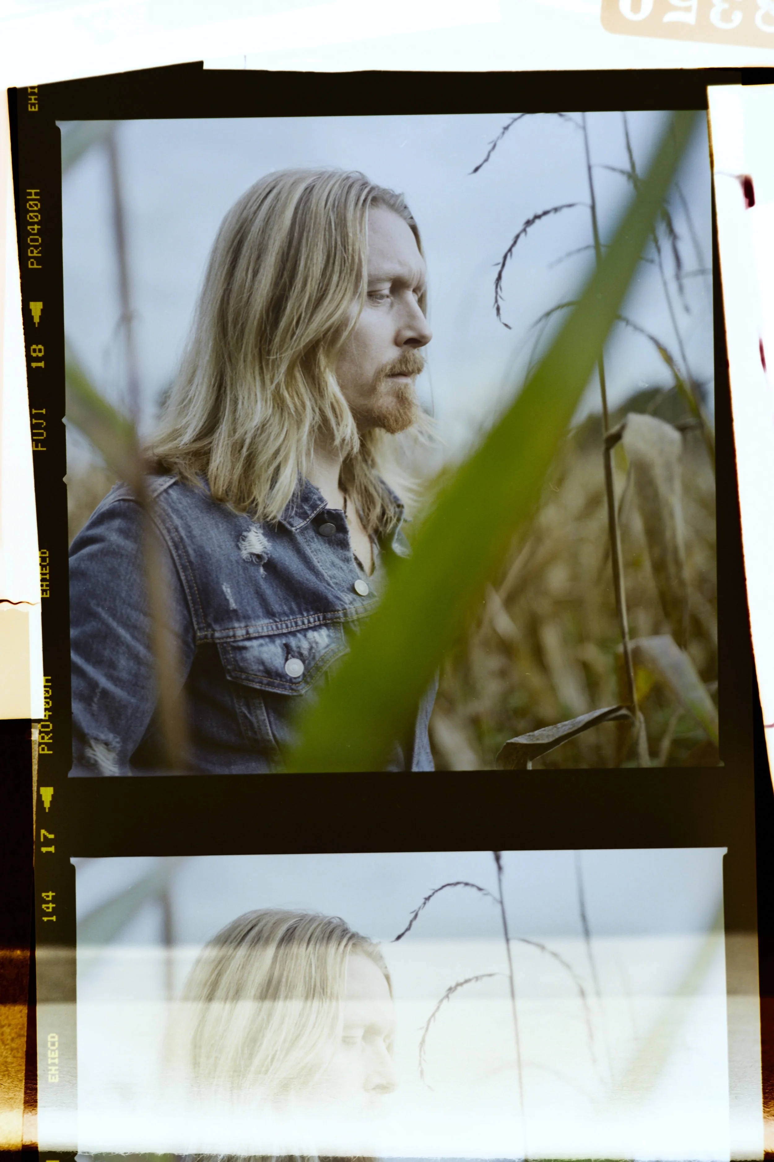 01-cornfield-0003_jpeg-half.jpg